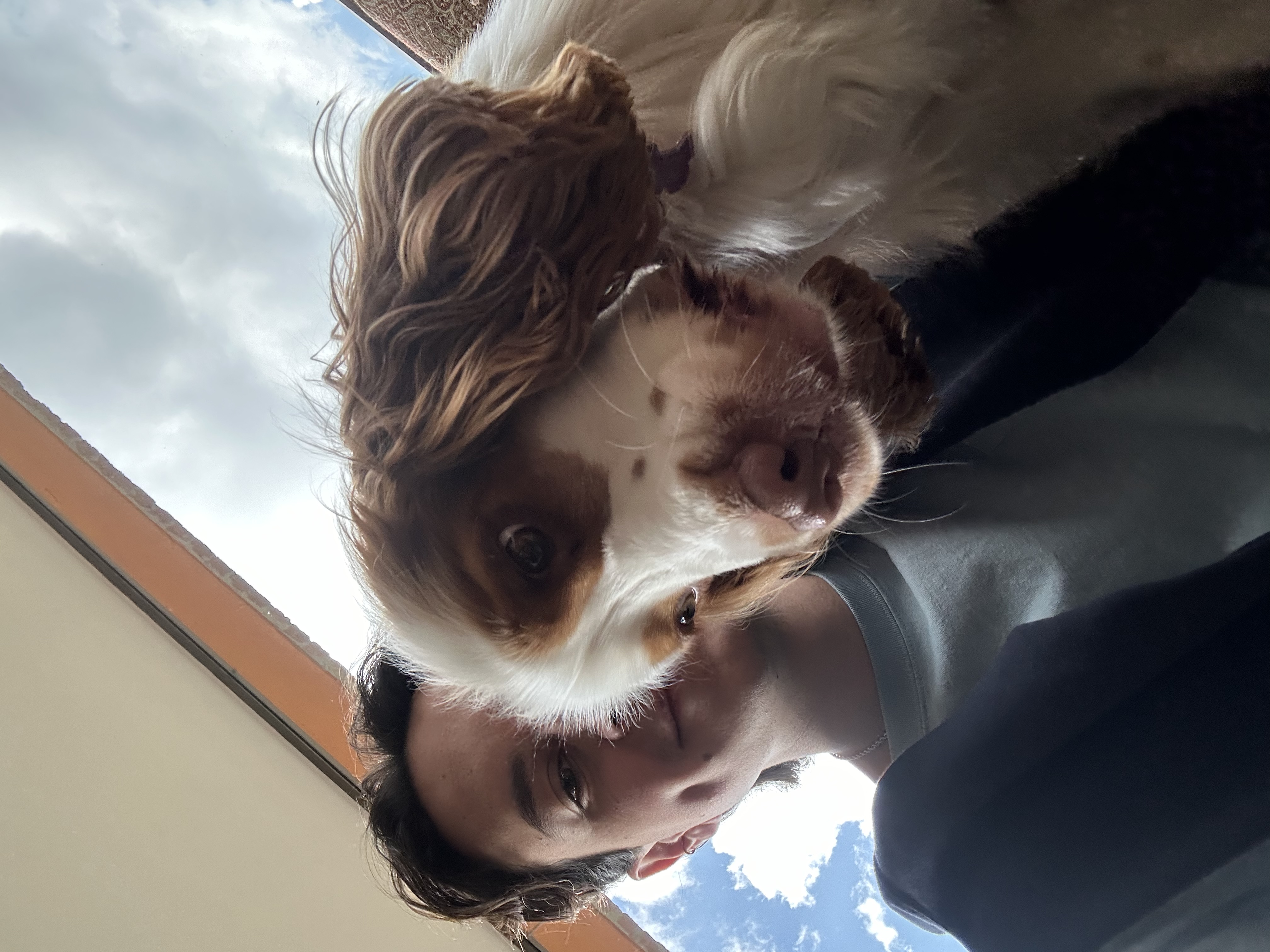 image-6
