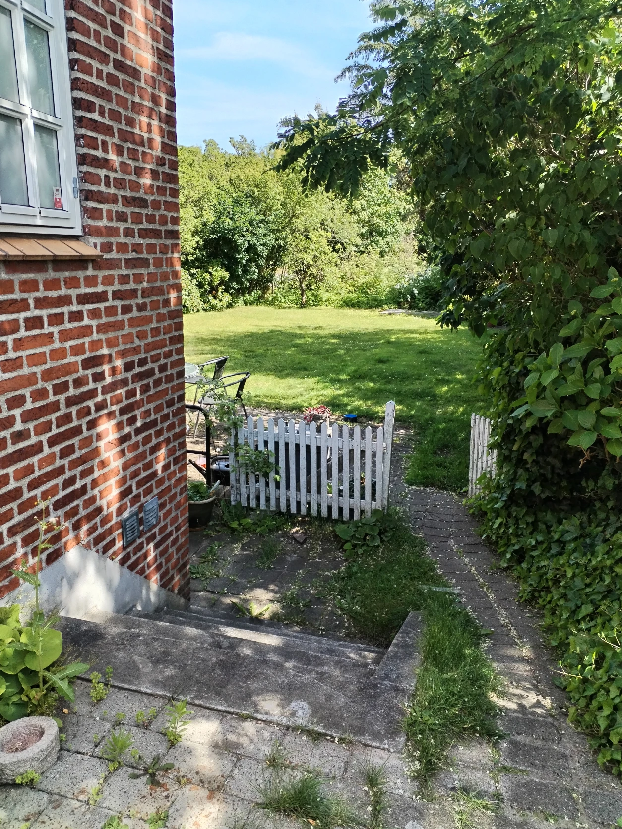 image-23
