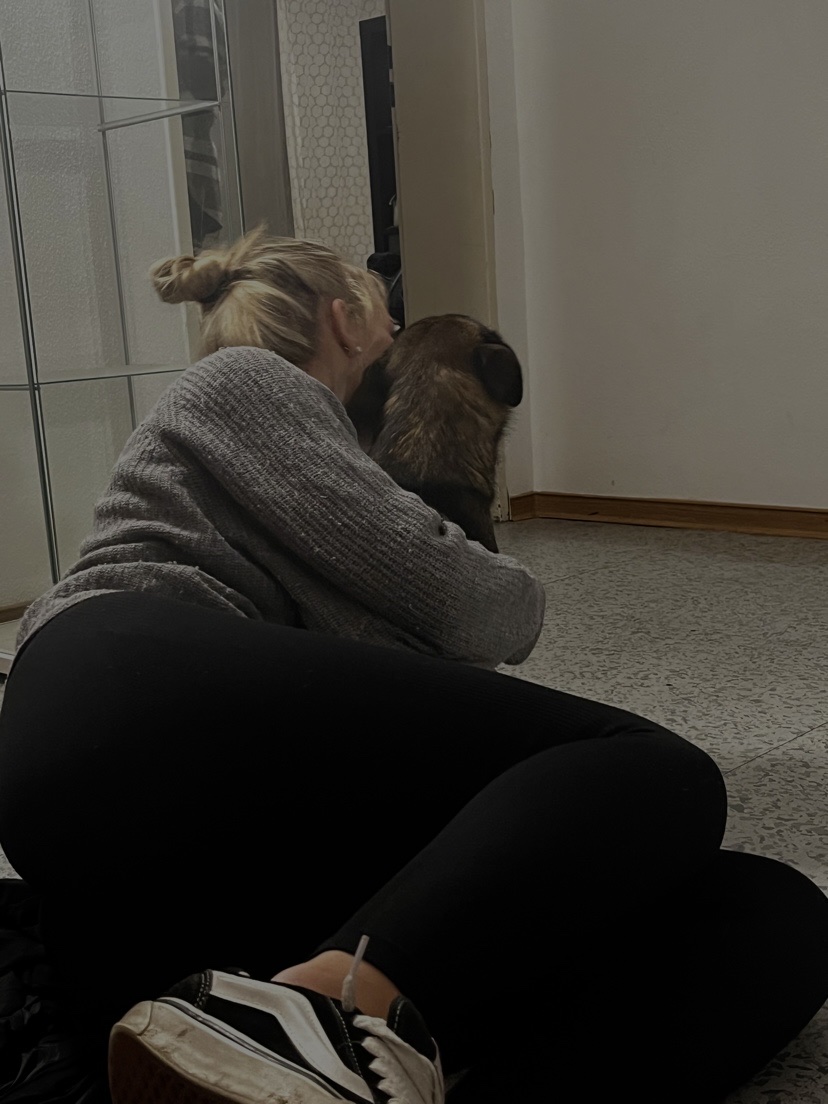 image-8