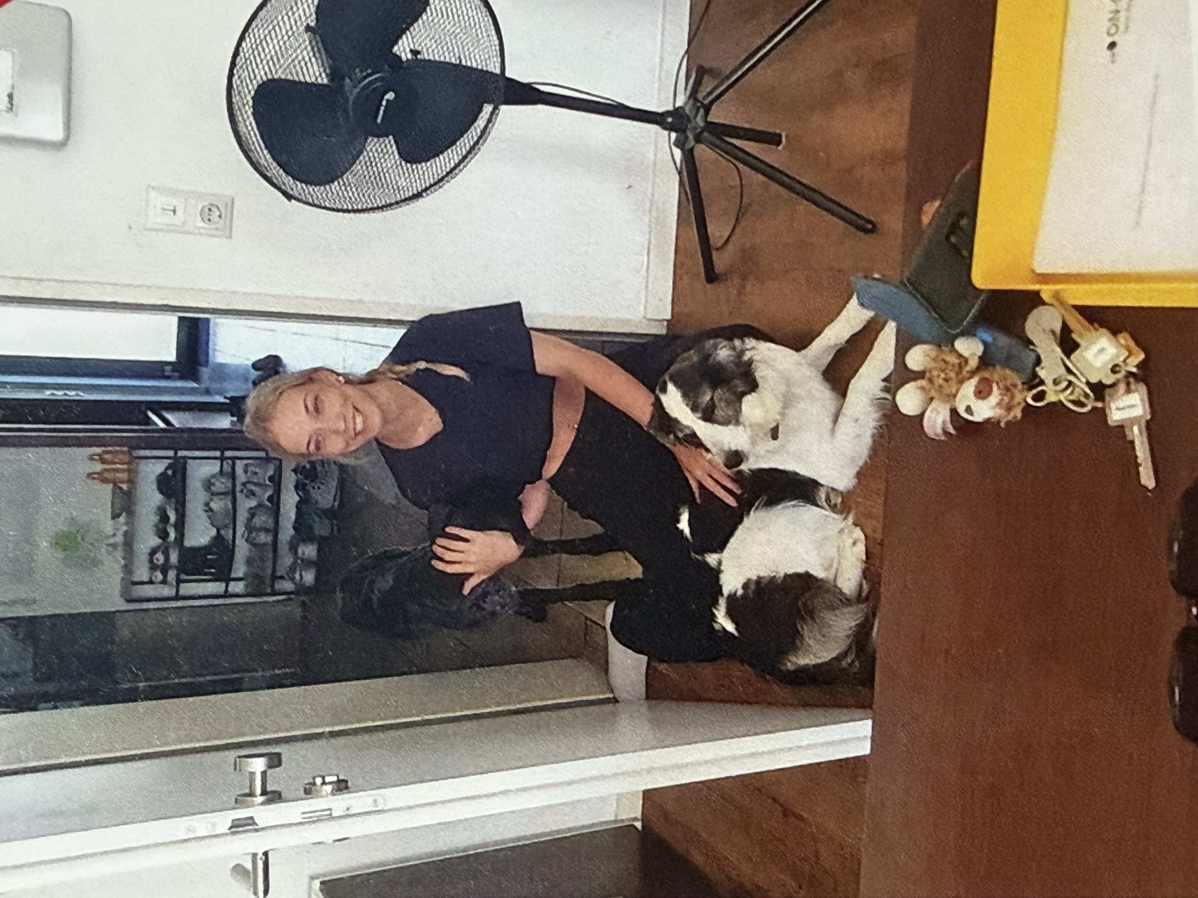 image-1
