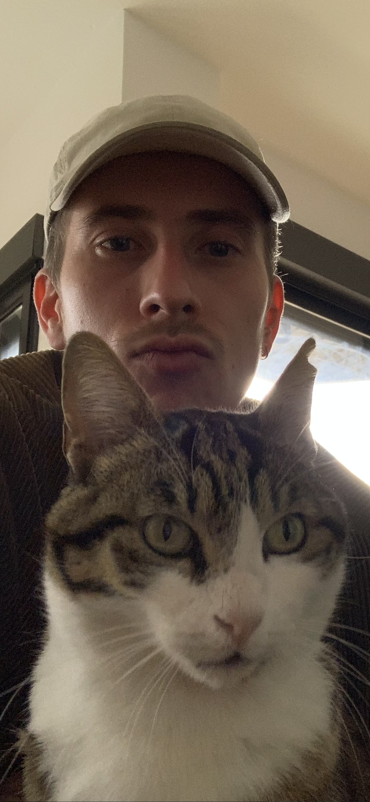 image-7