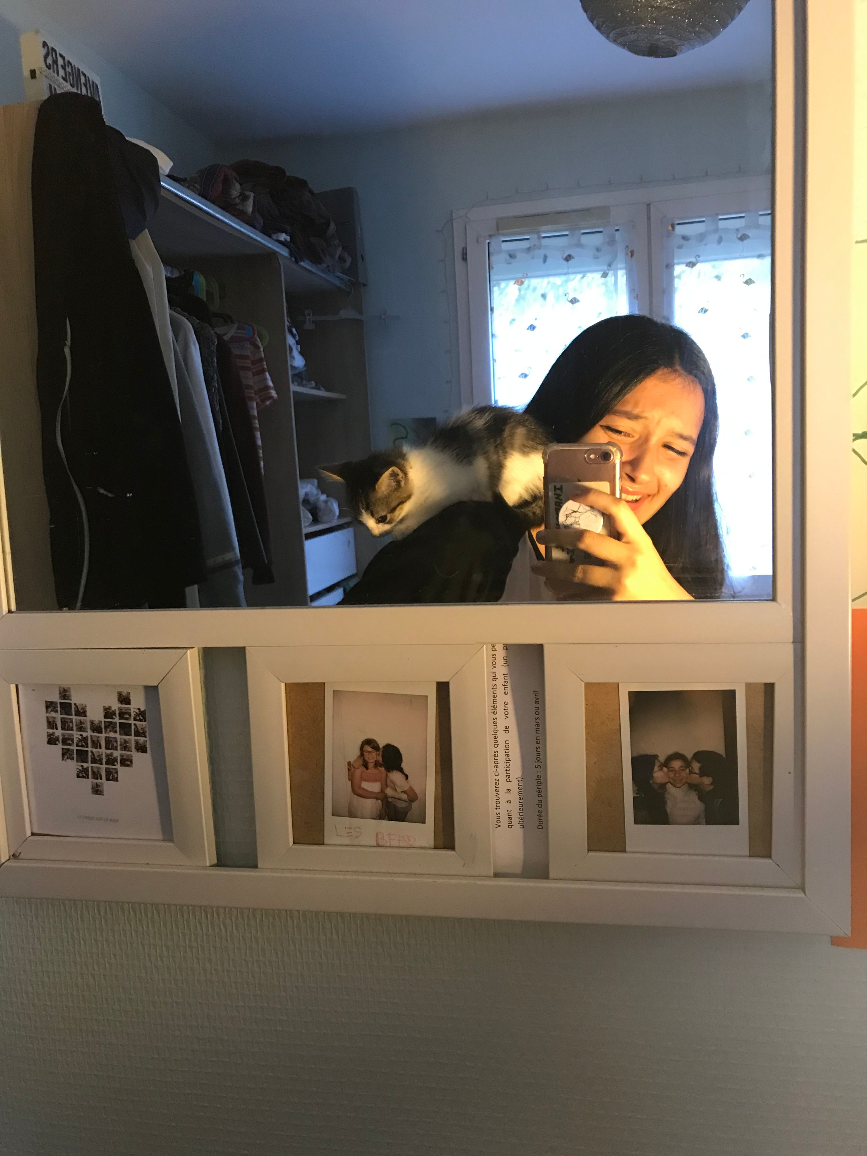 image-11