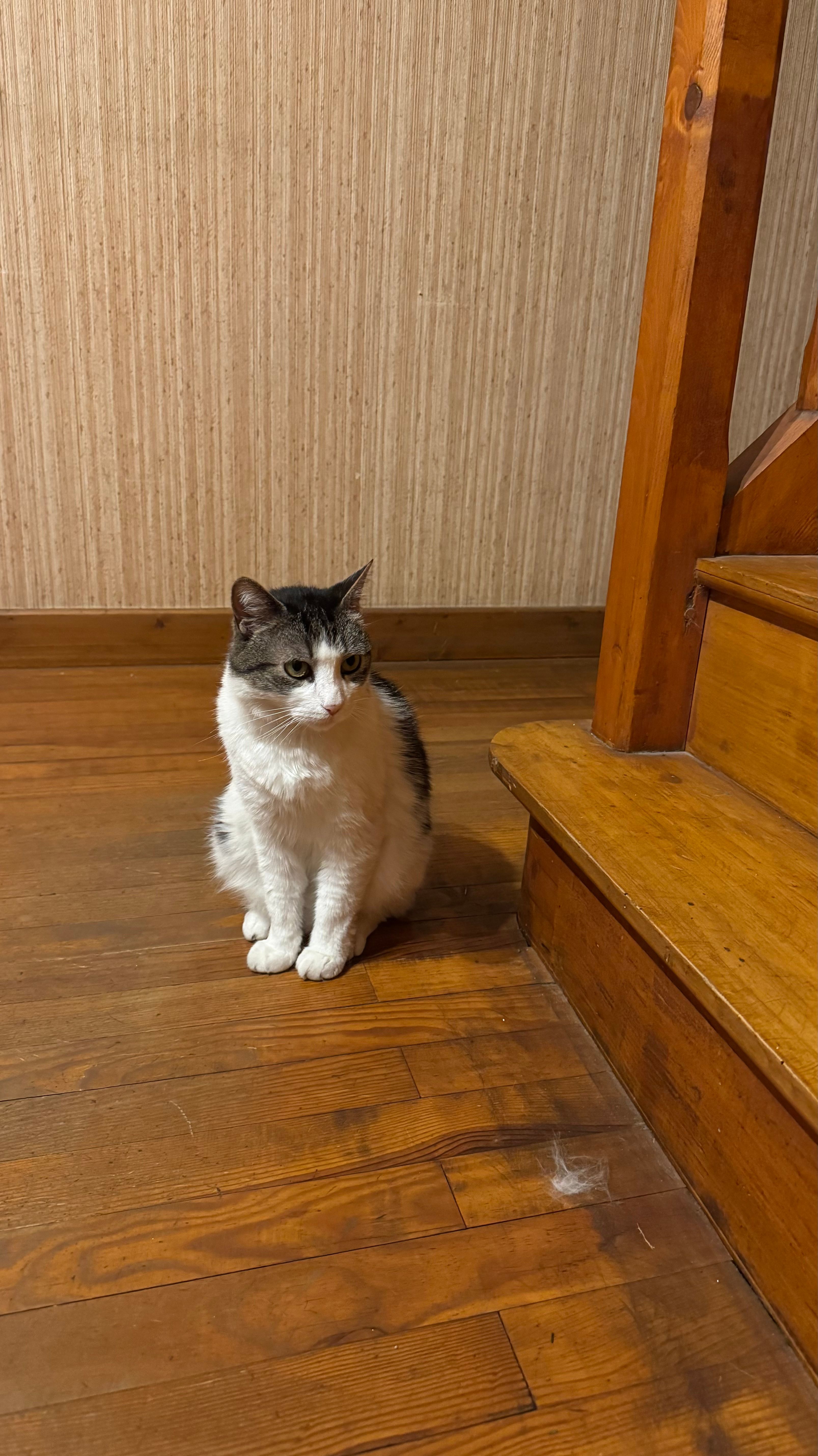 image-13