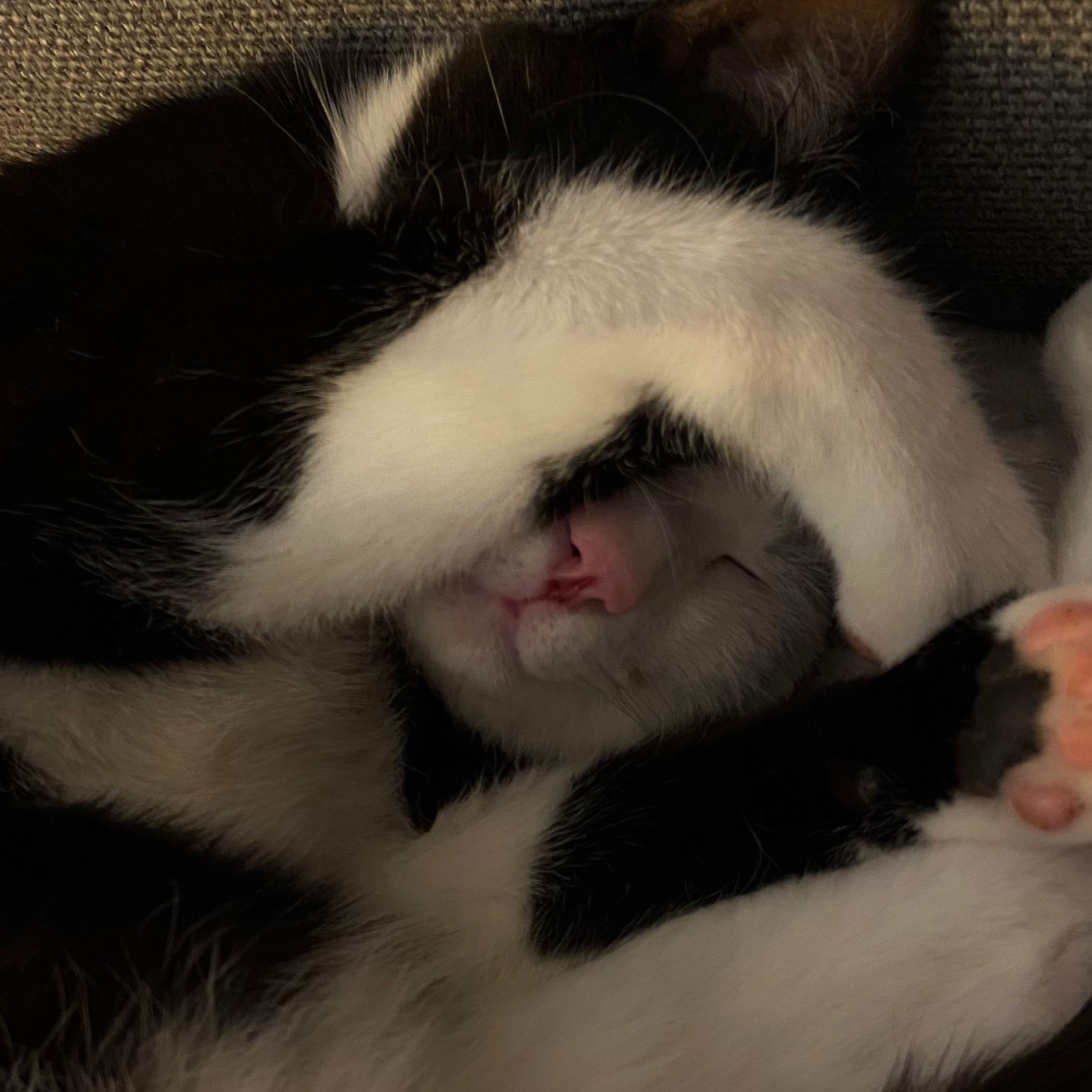 Rio