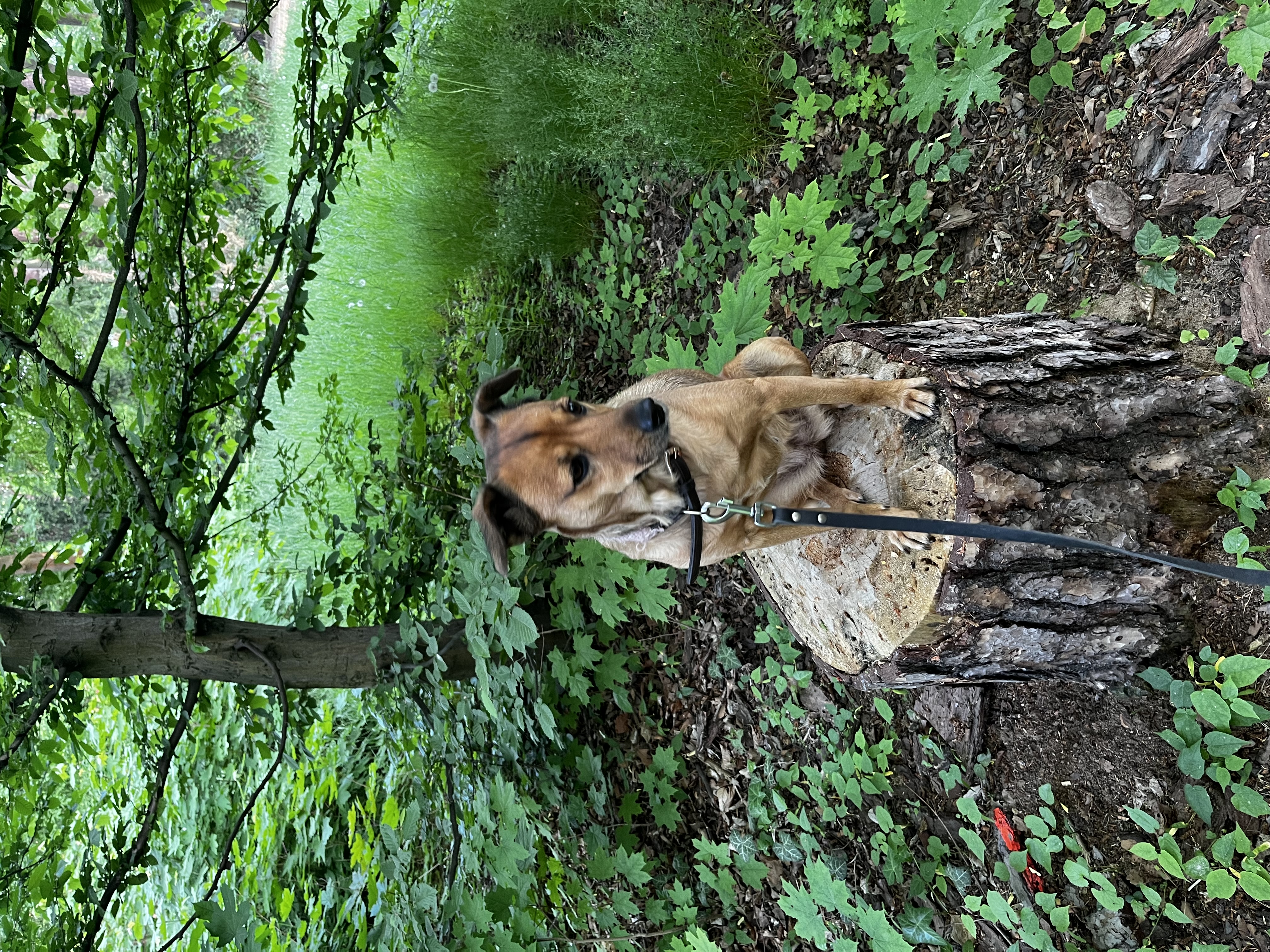 image-14