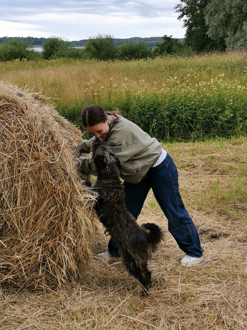 image-6
