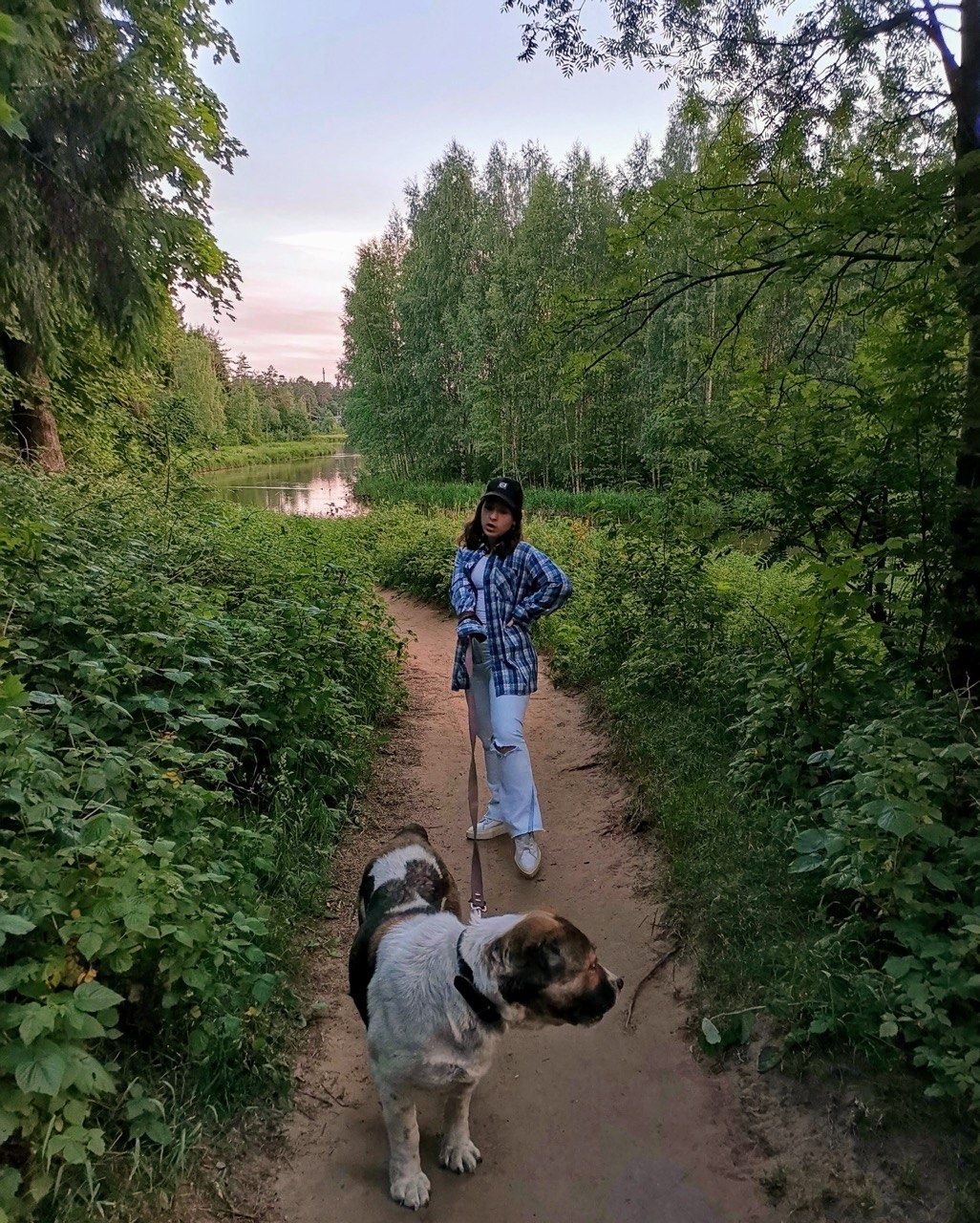 image-8