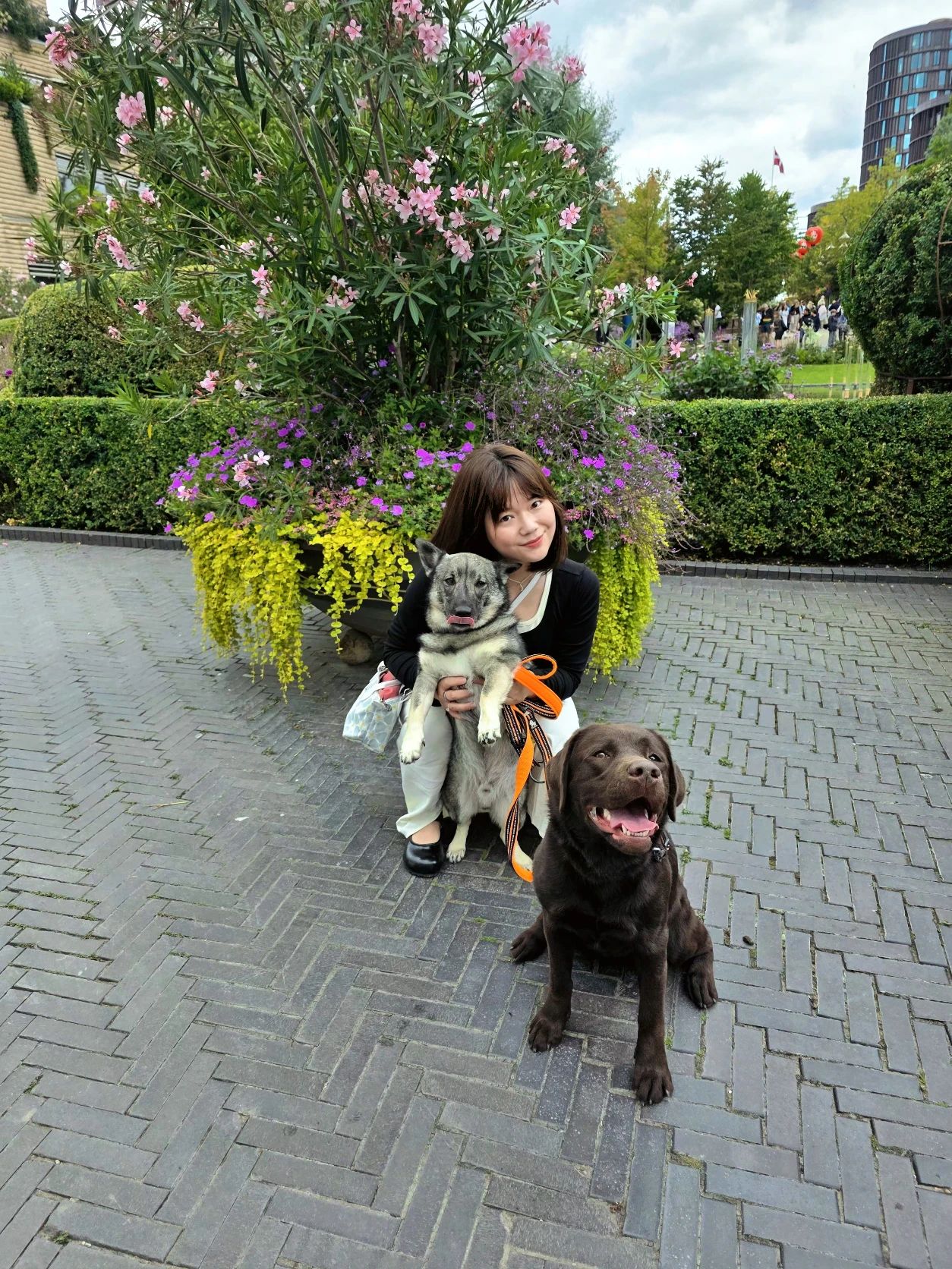 image-13