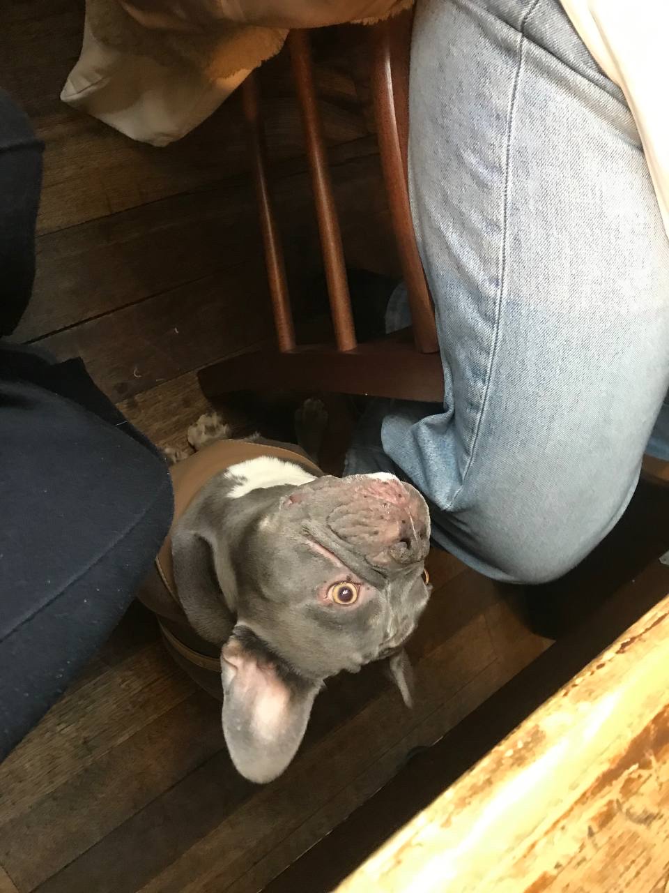 image-4