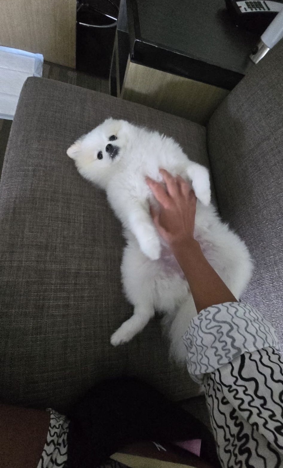 image-7