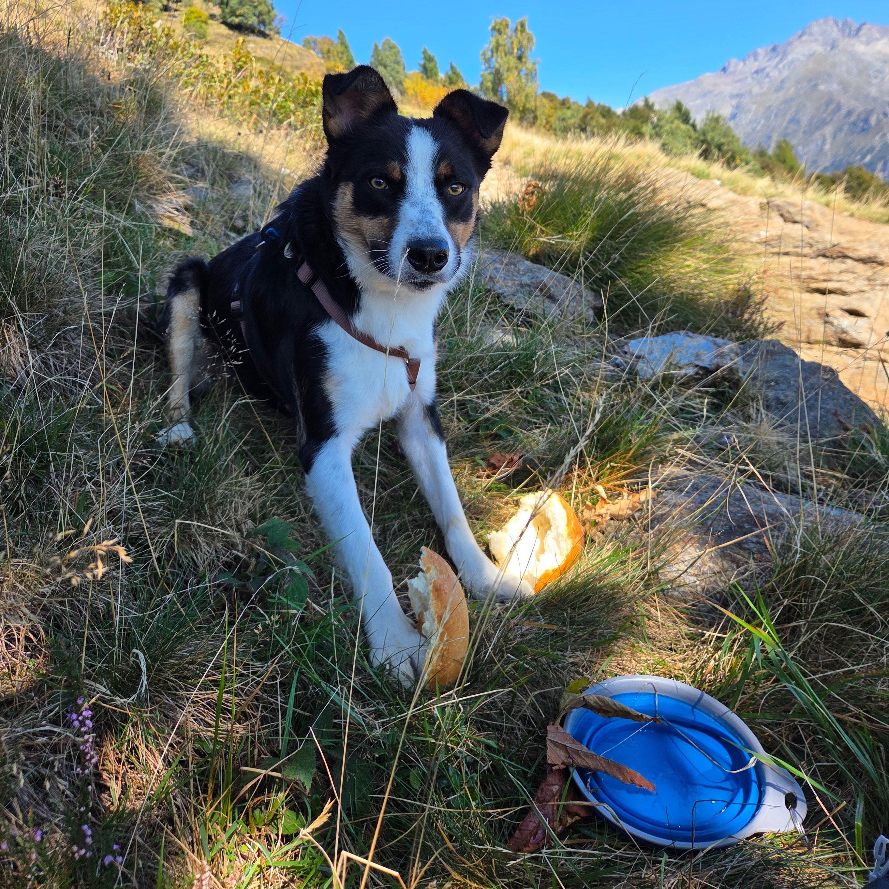 Hugo
