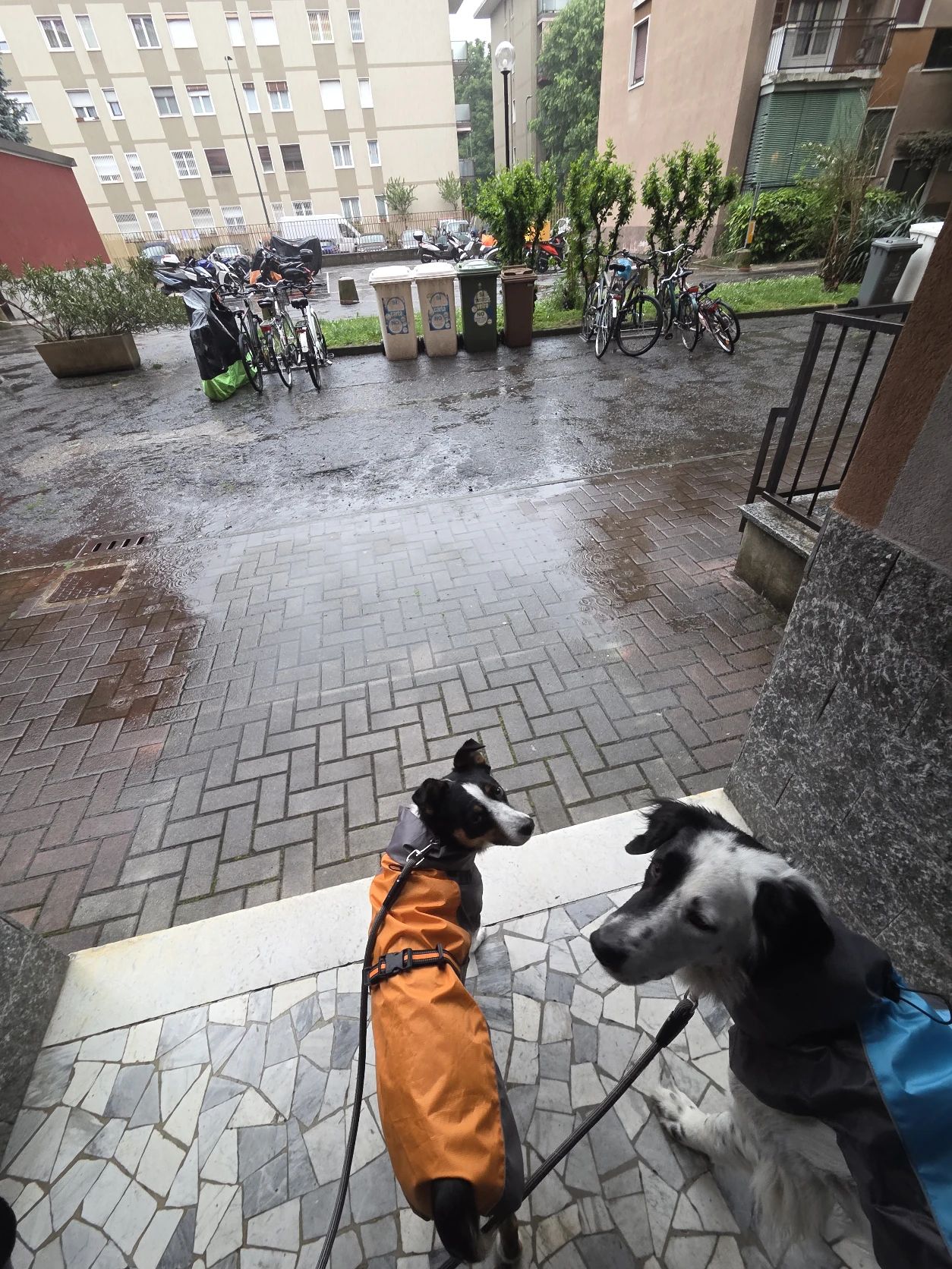 image-9