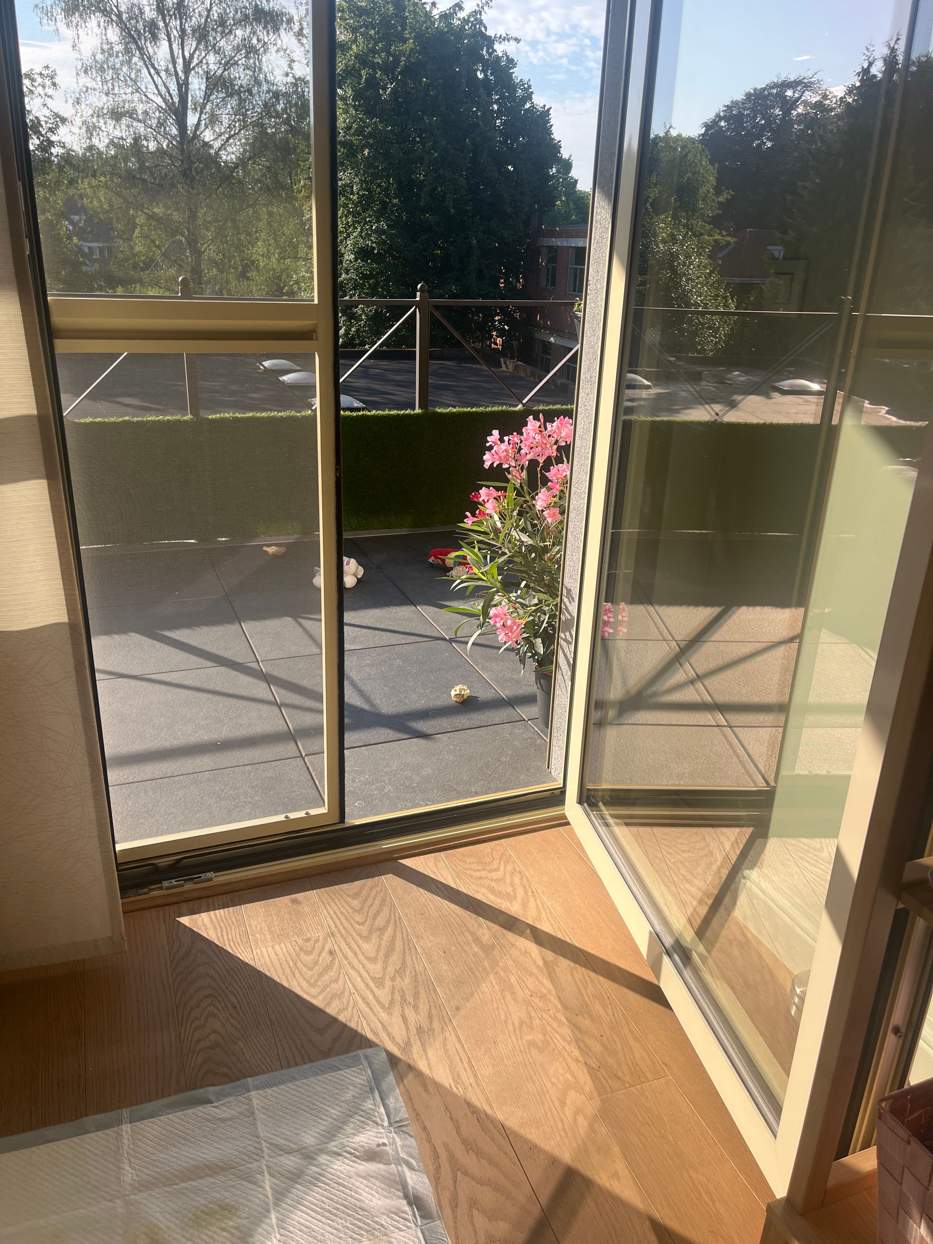image-14
