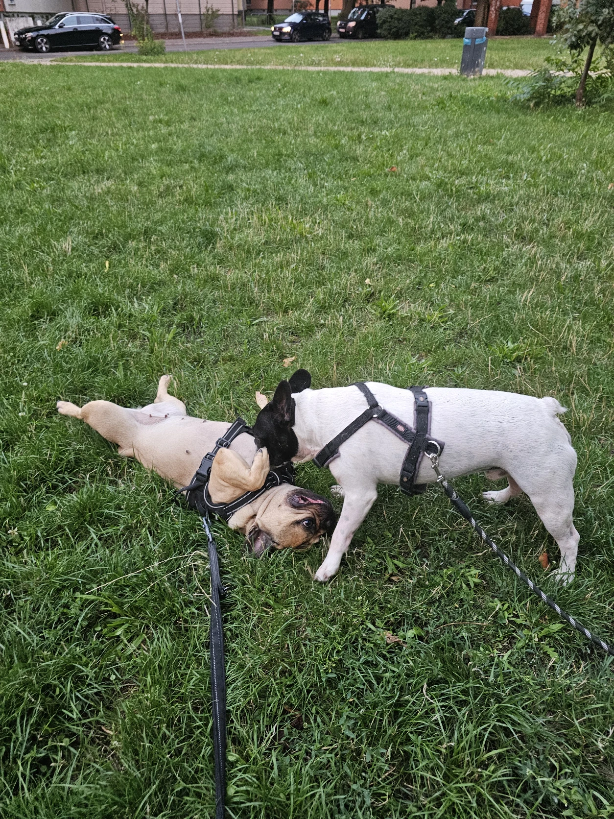 image-28