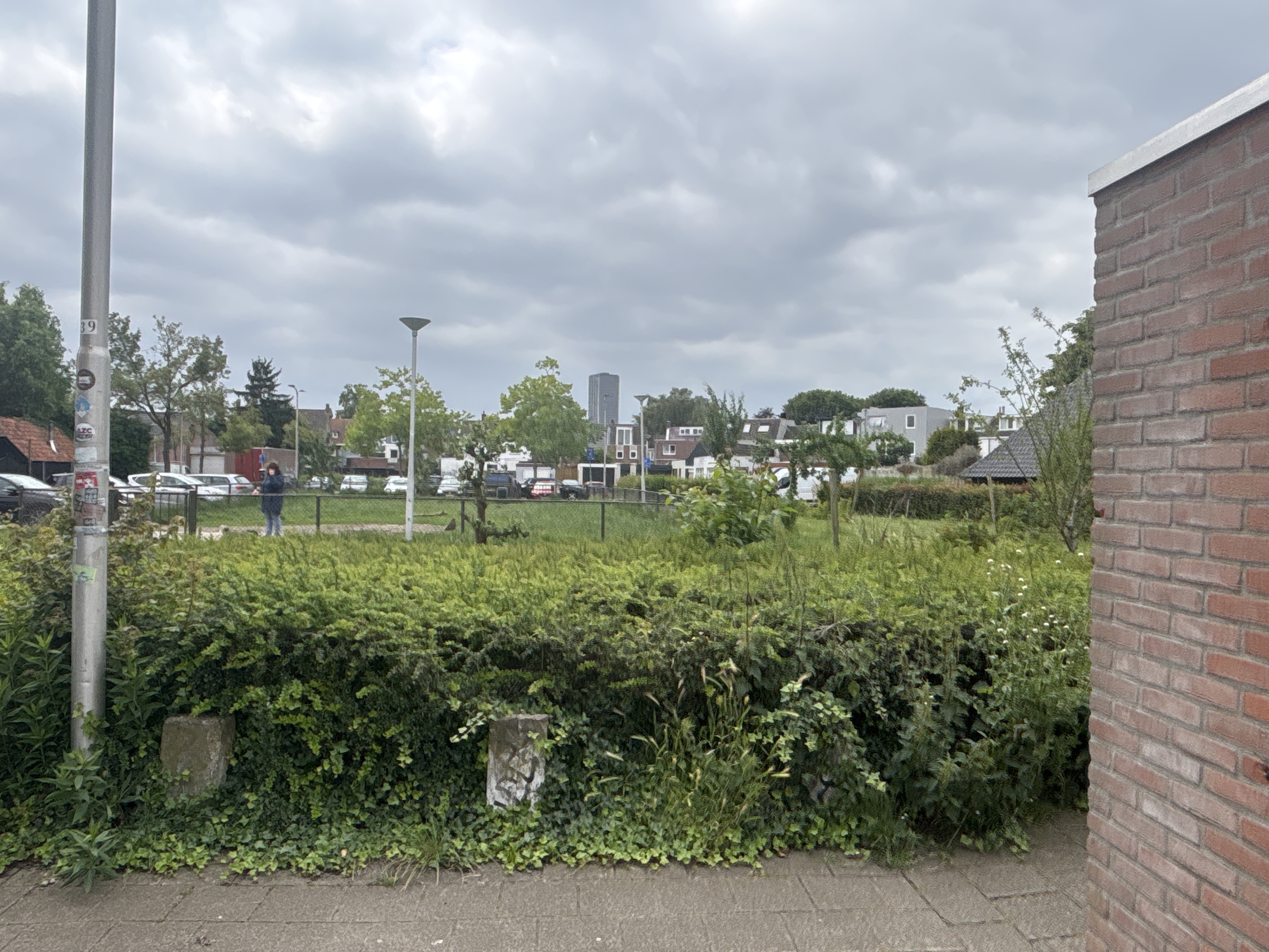image-13