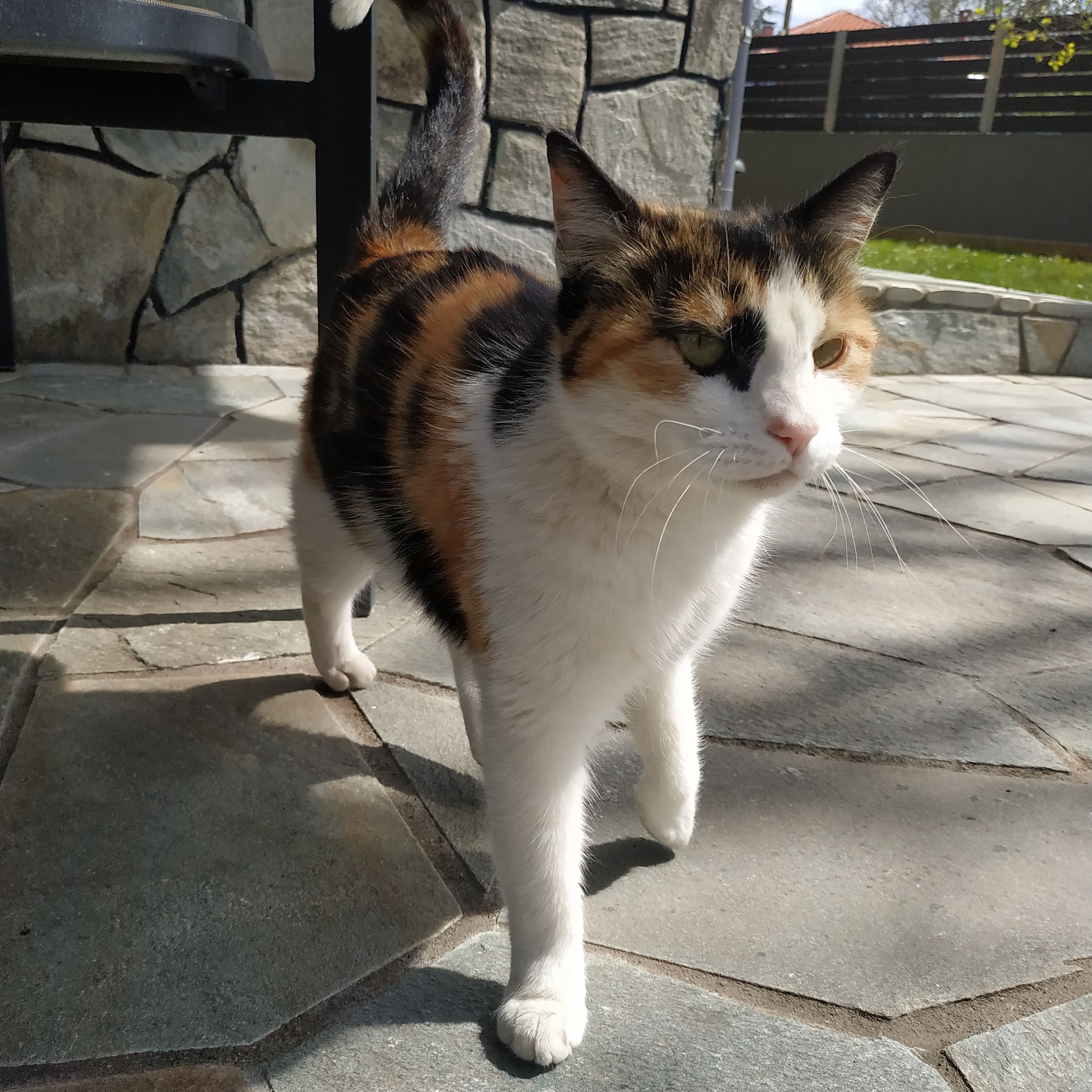 Rita