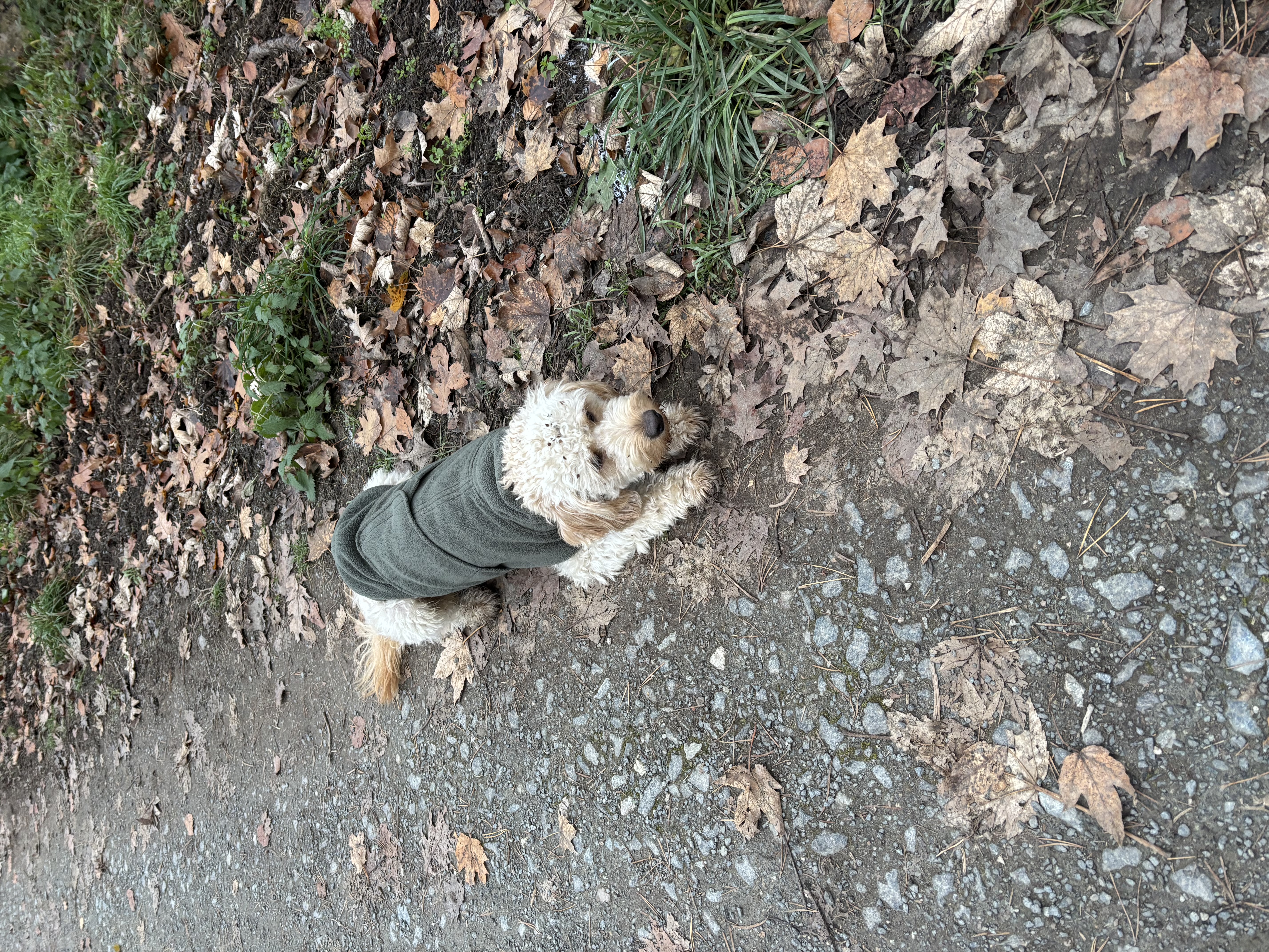 image-8