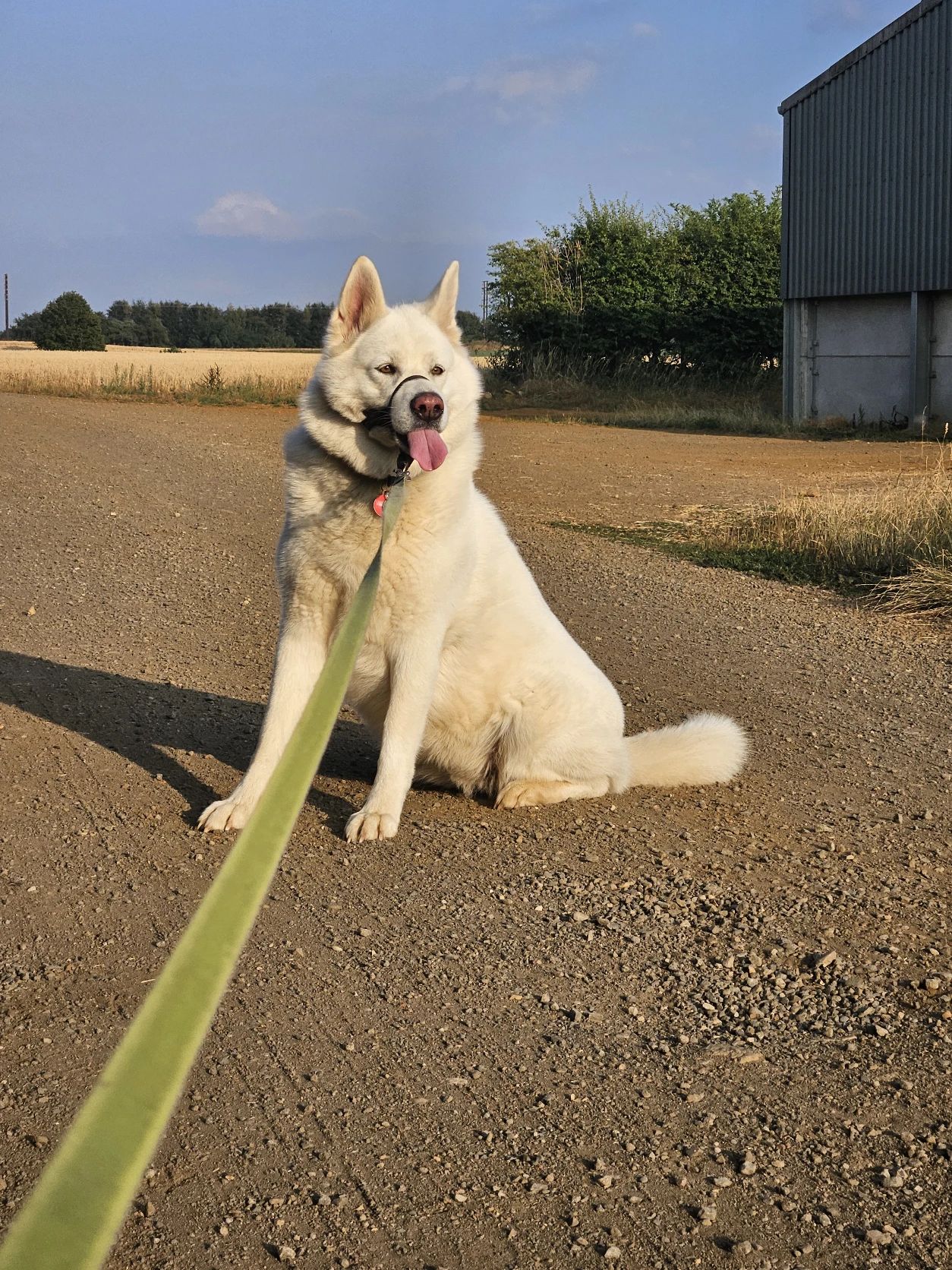 image-1