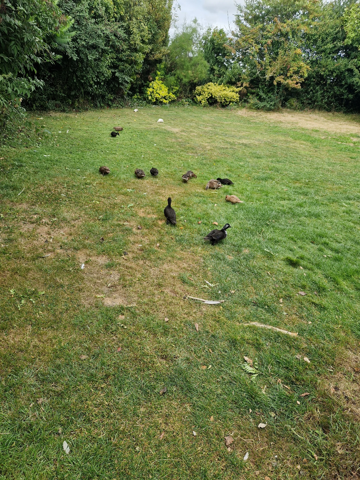 image-31