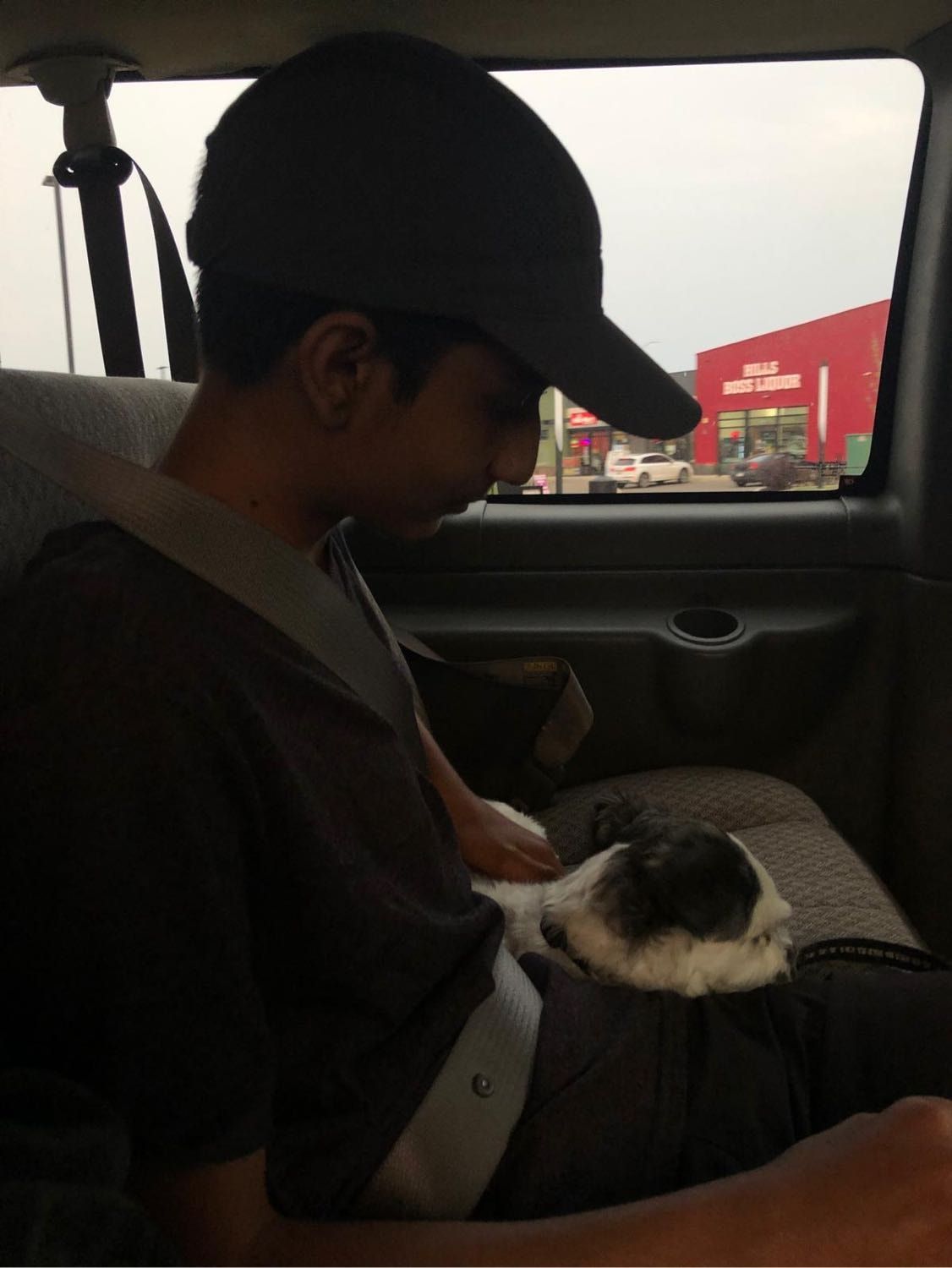 image-4