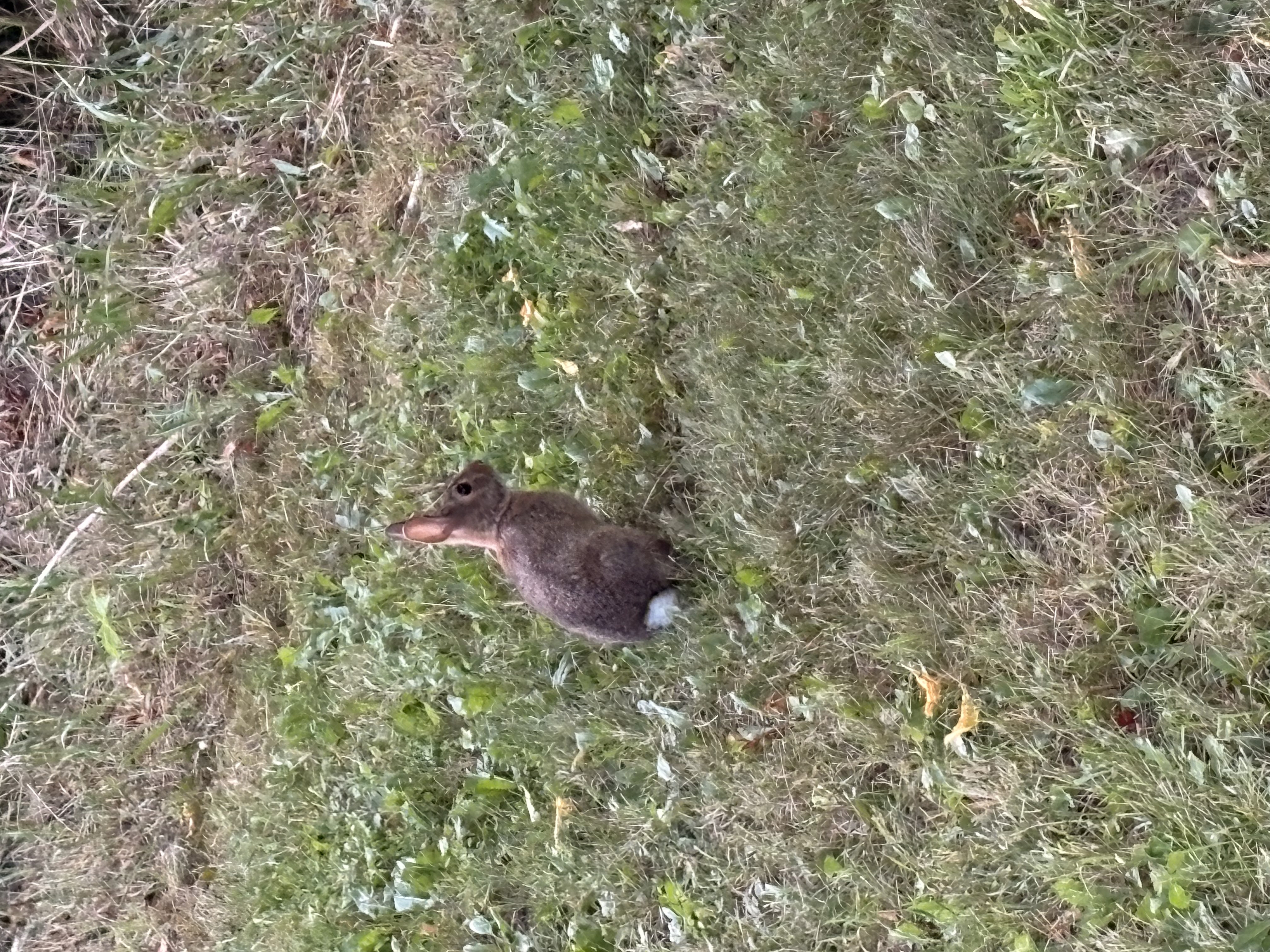 image-6