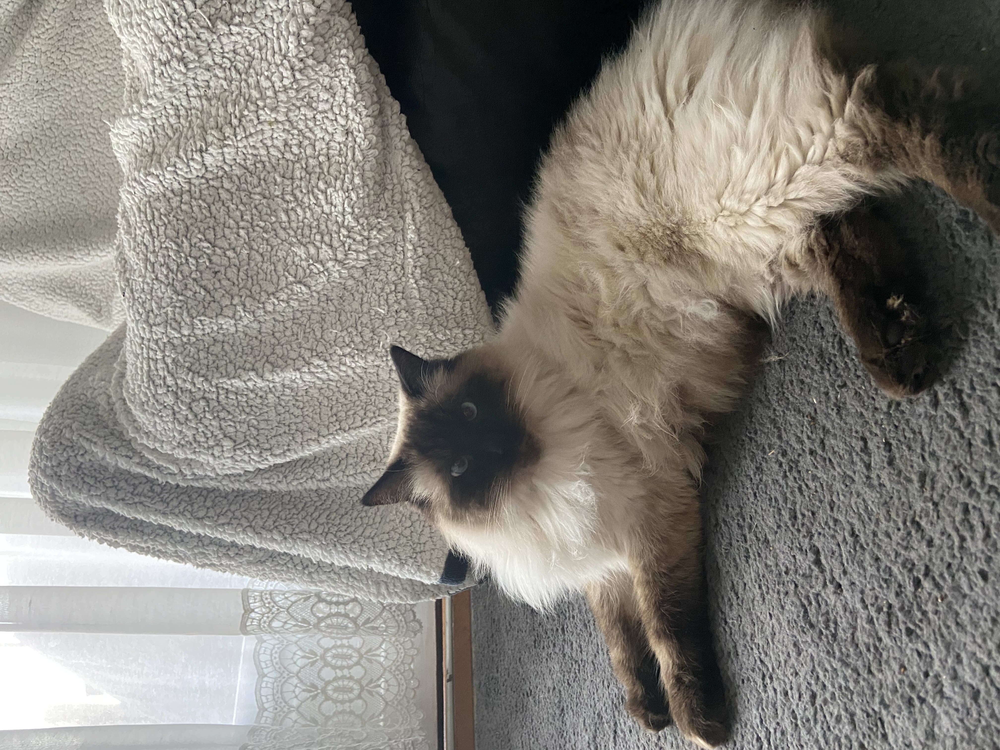 image-6