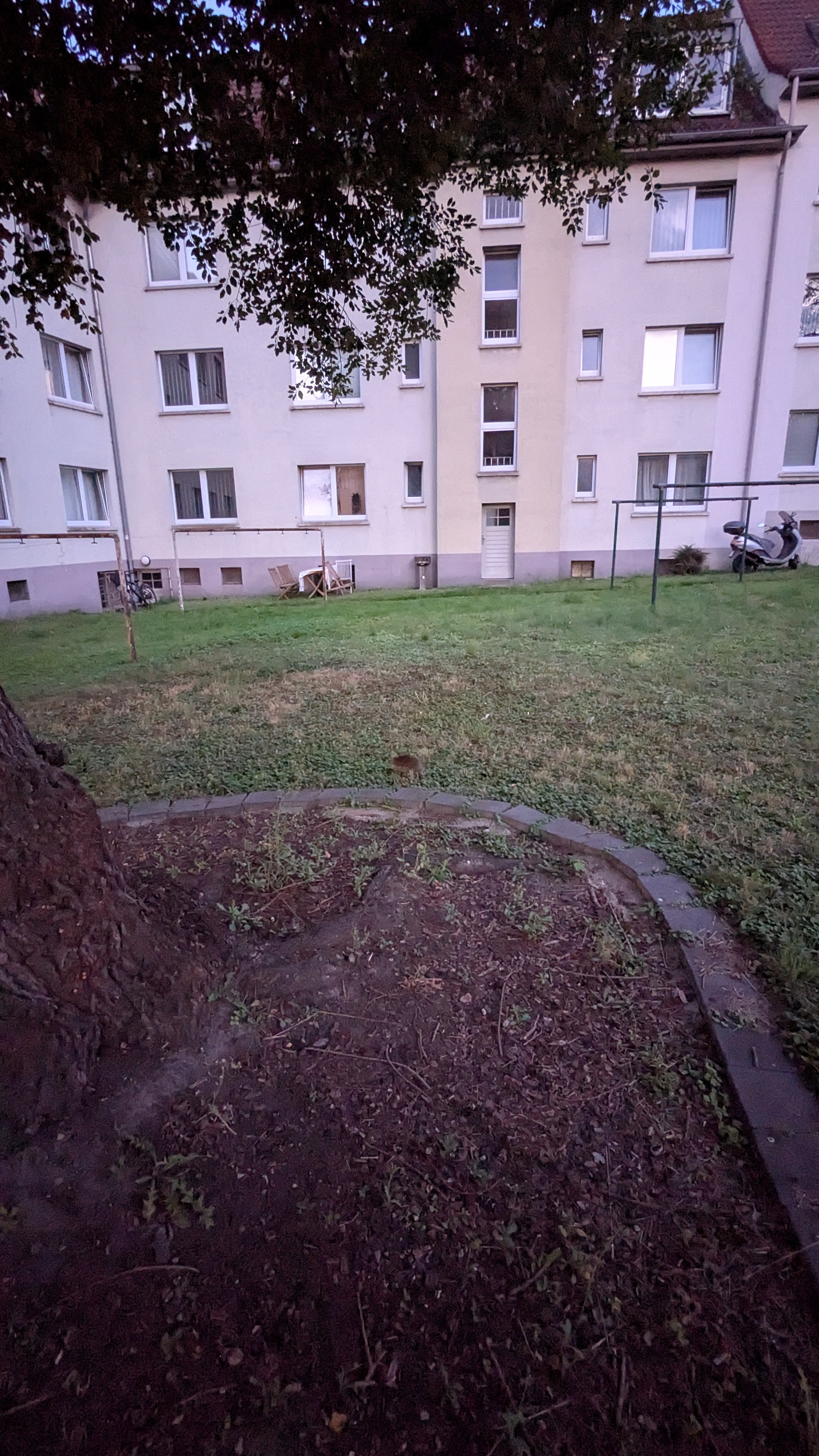 image-20