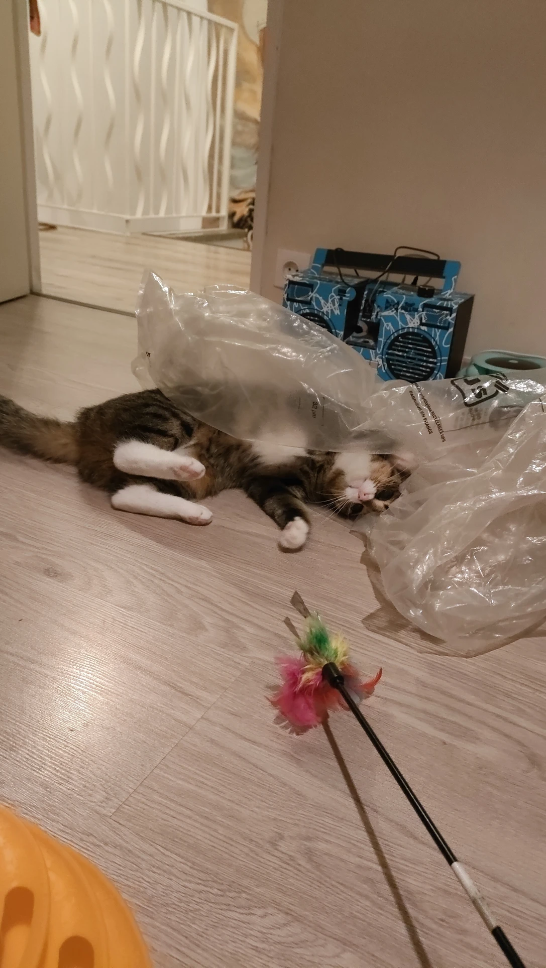 image-9