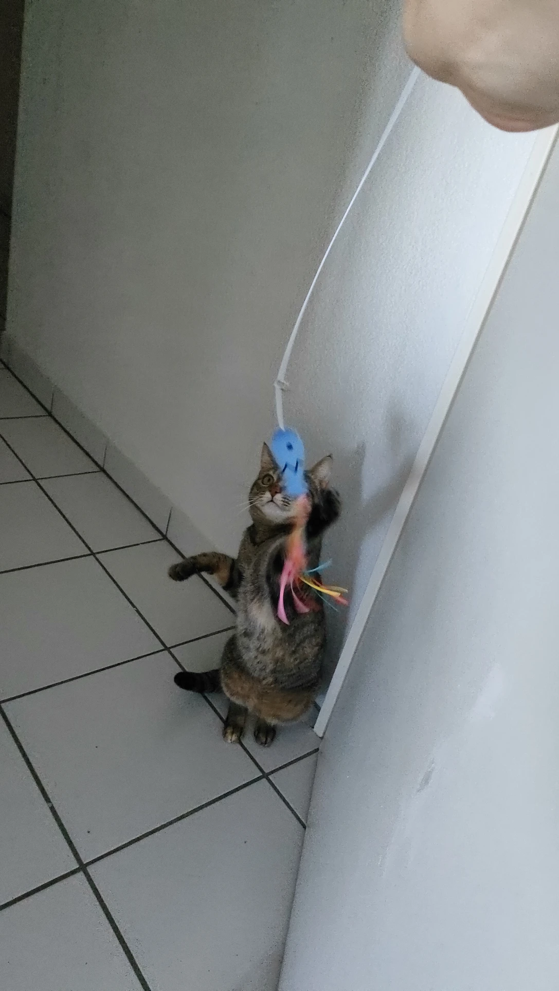 image-13