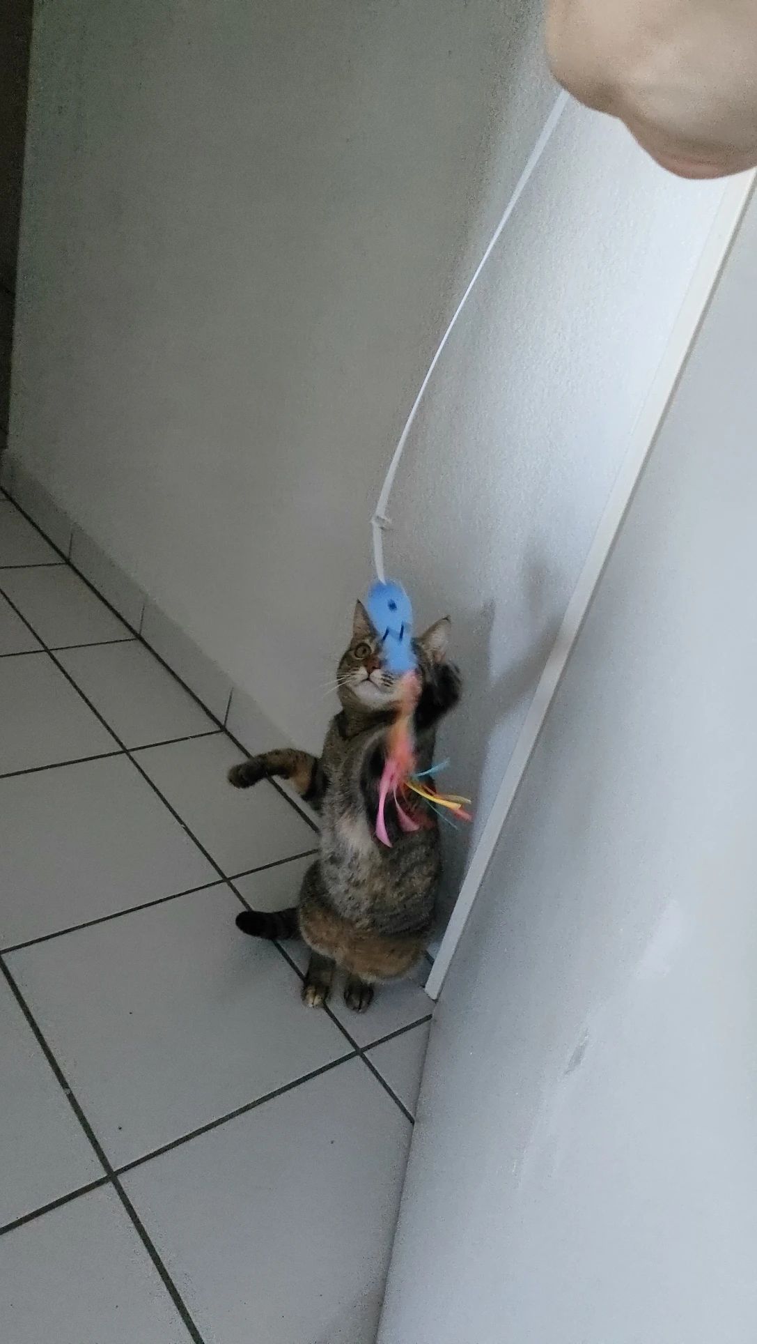 image-13