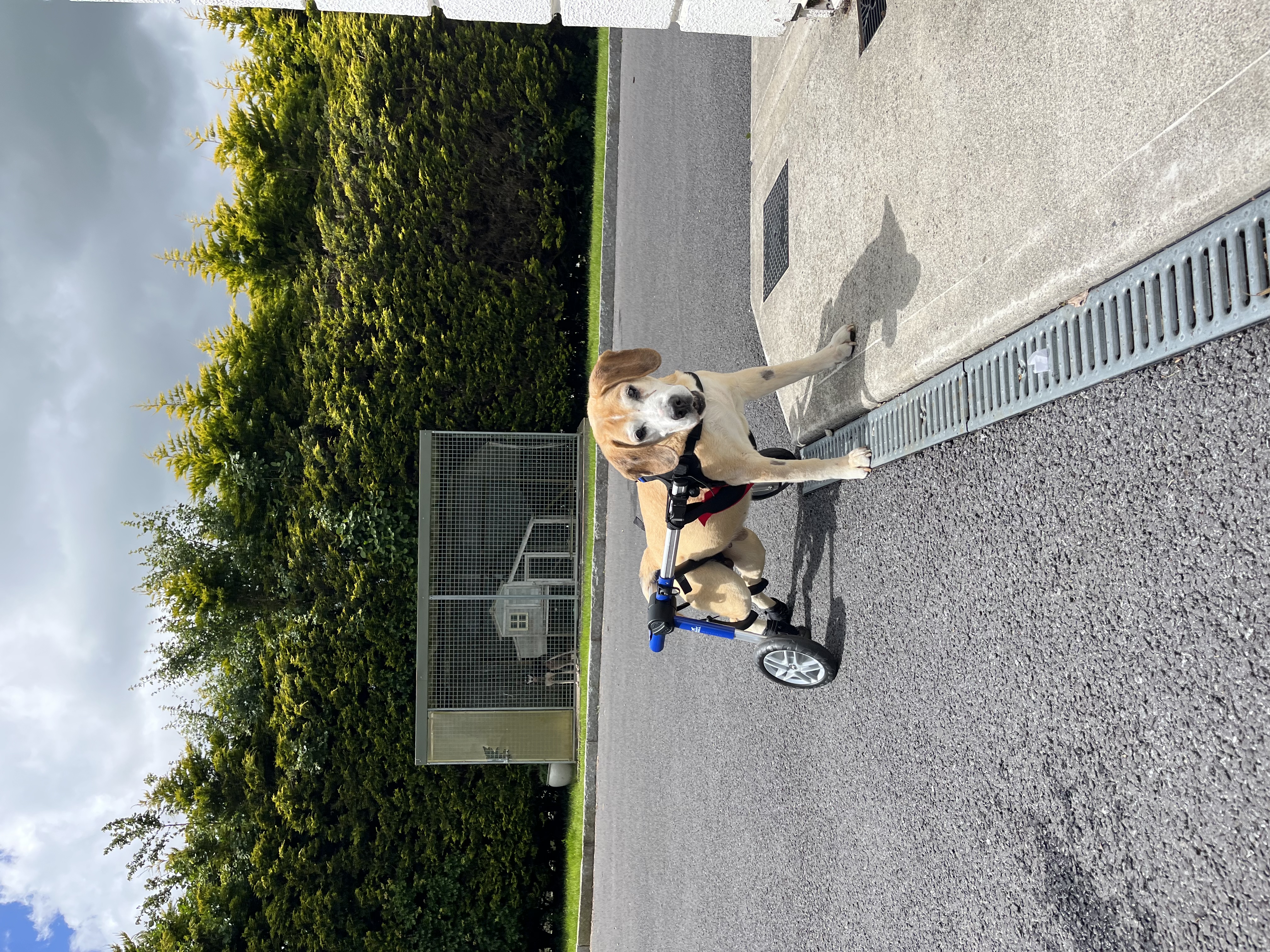 image-6