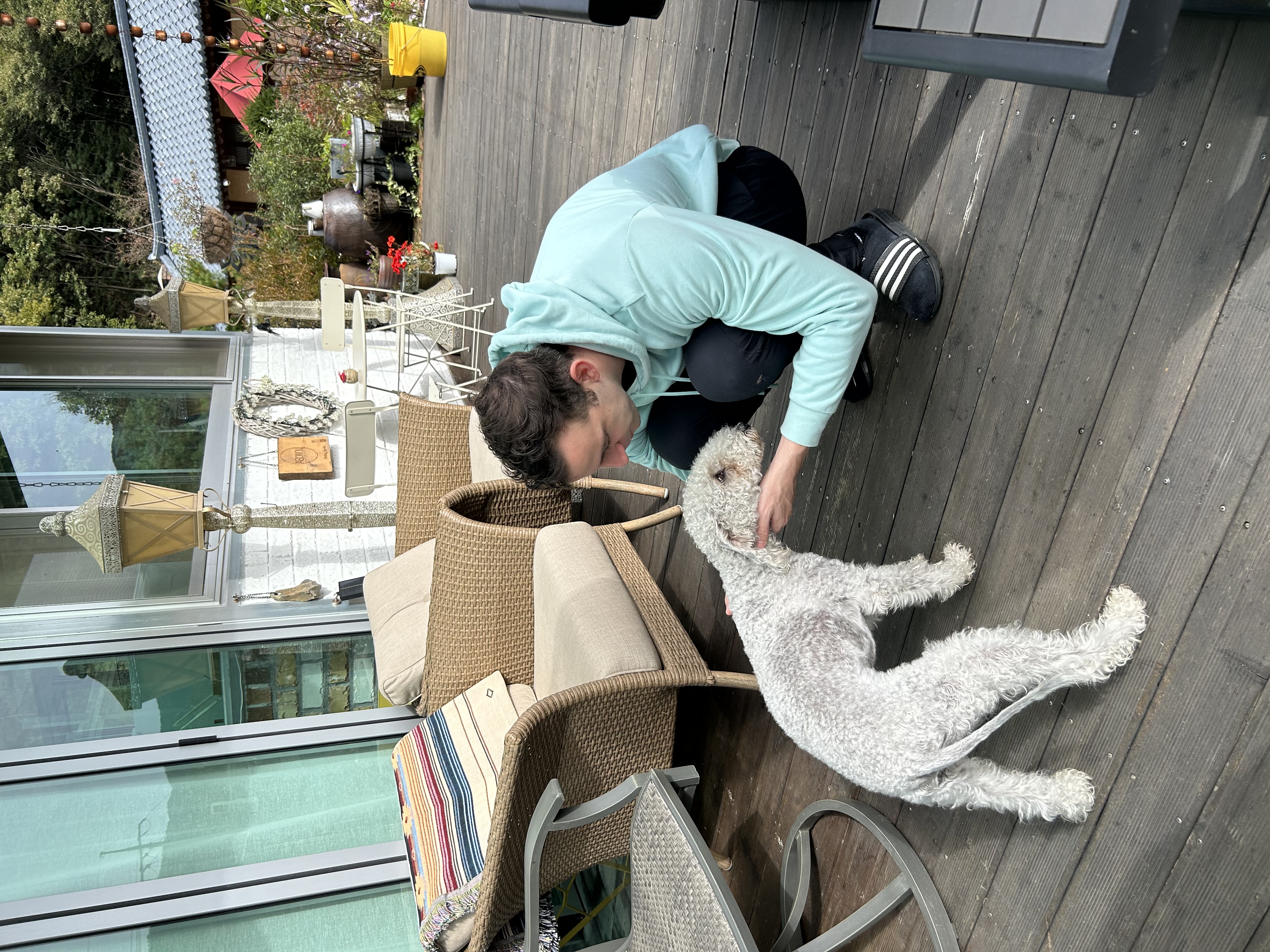 image-8
