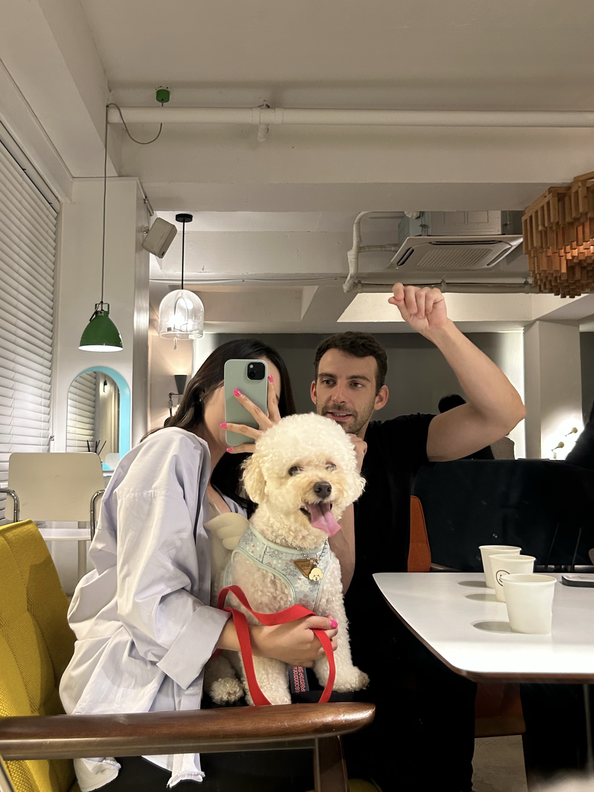 image-11