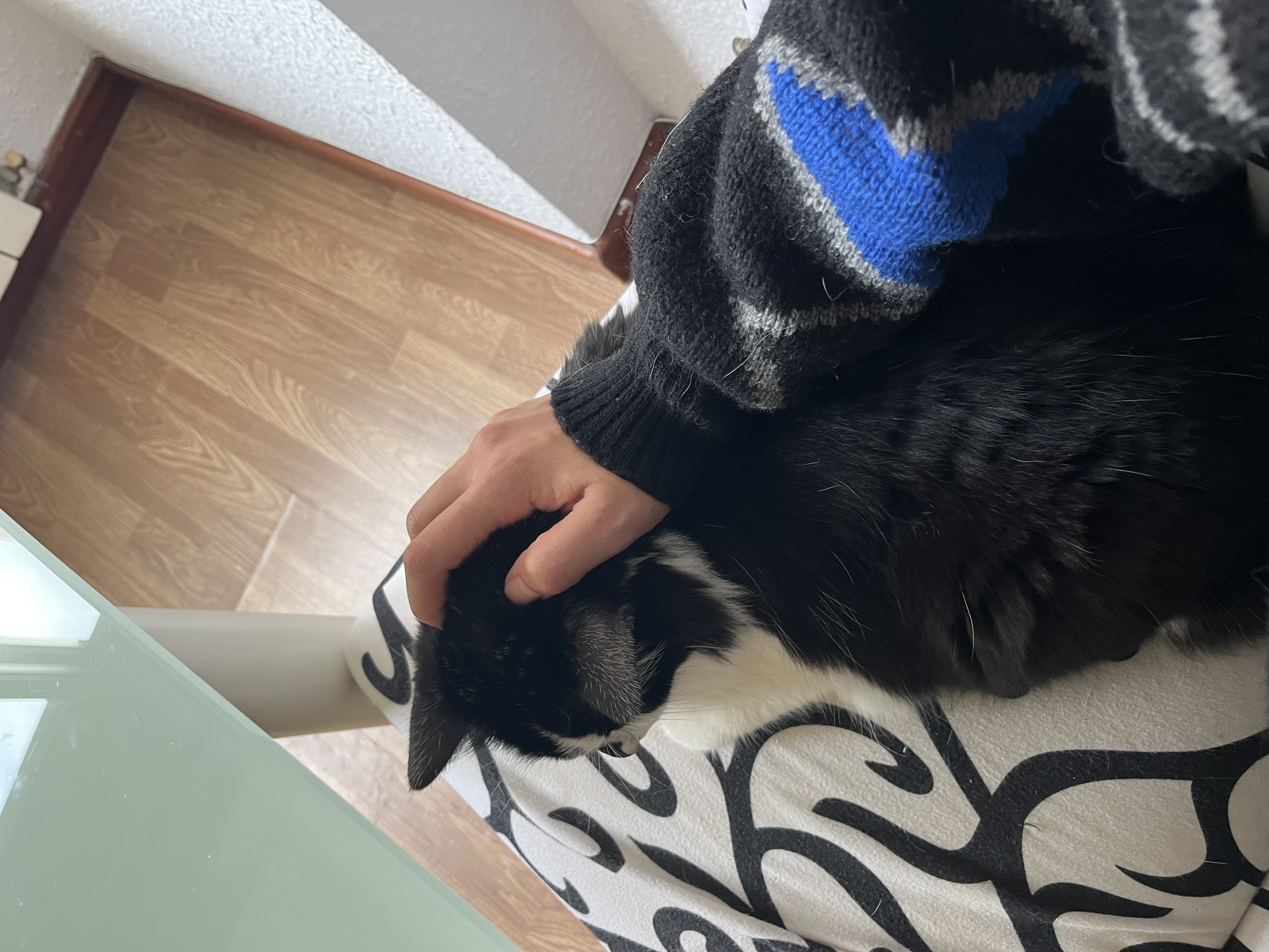 image-6