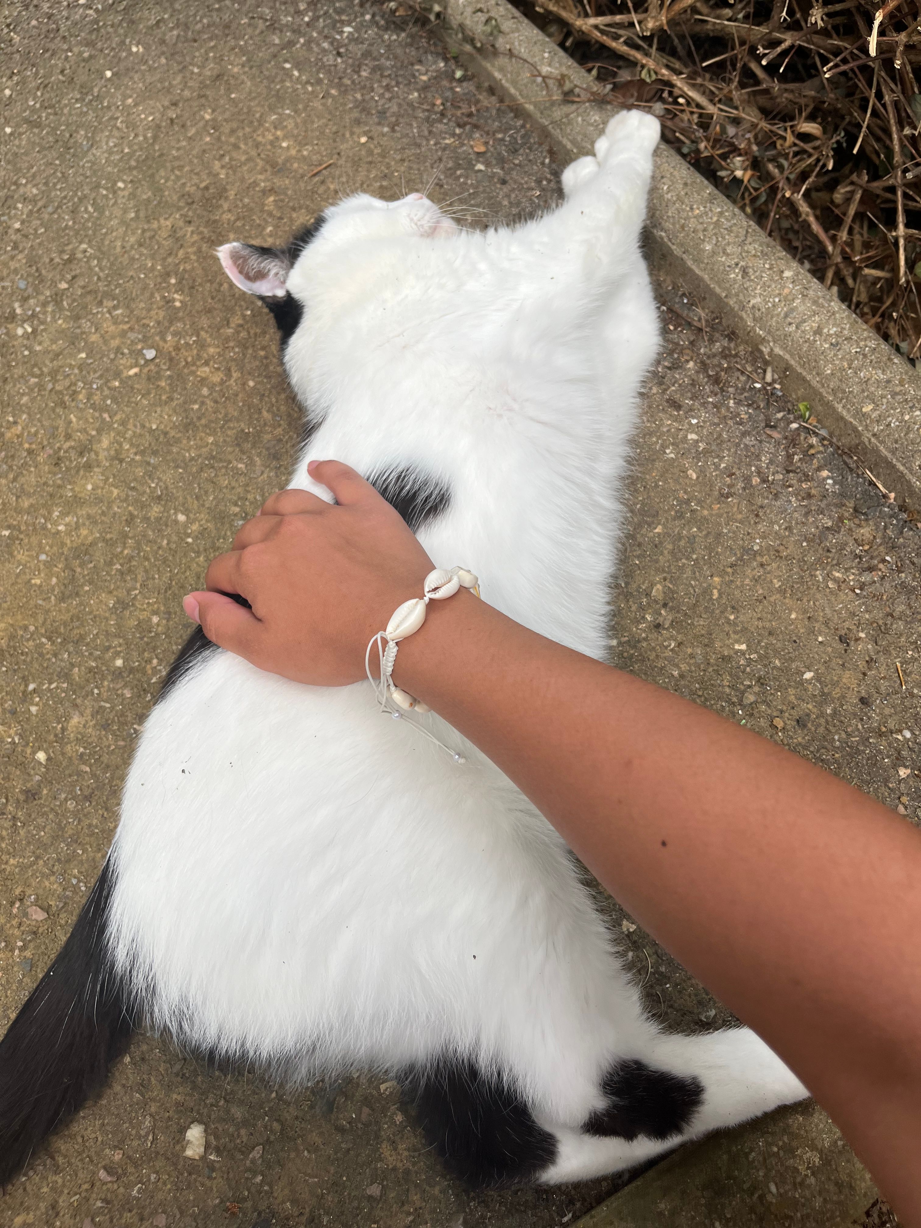 image-5