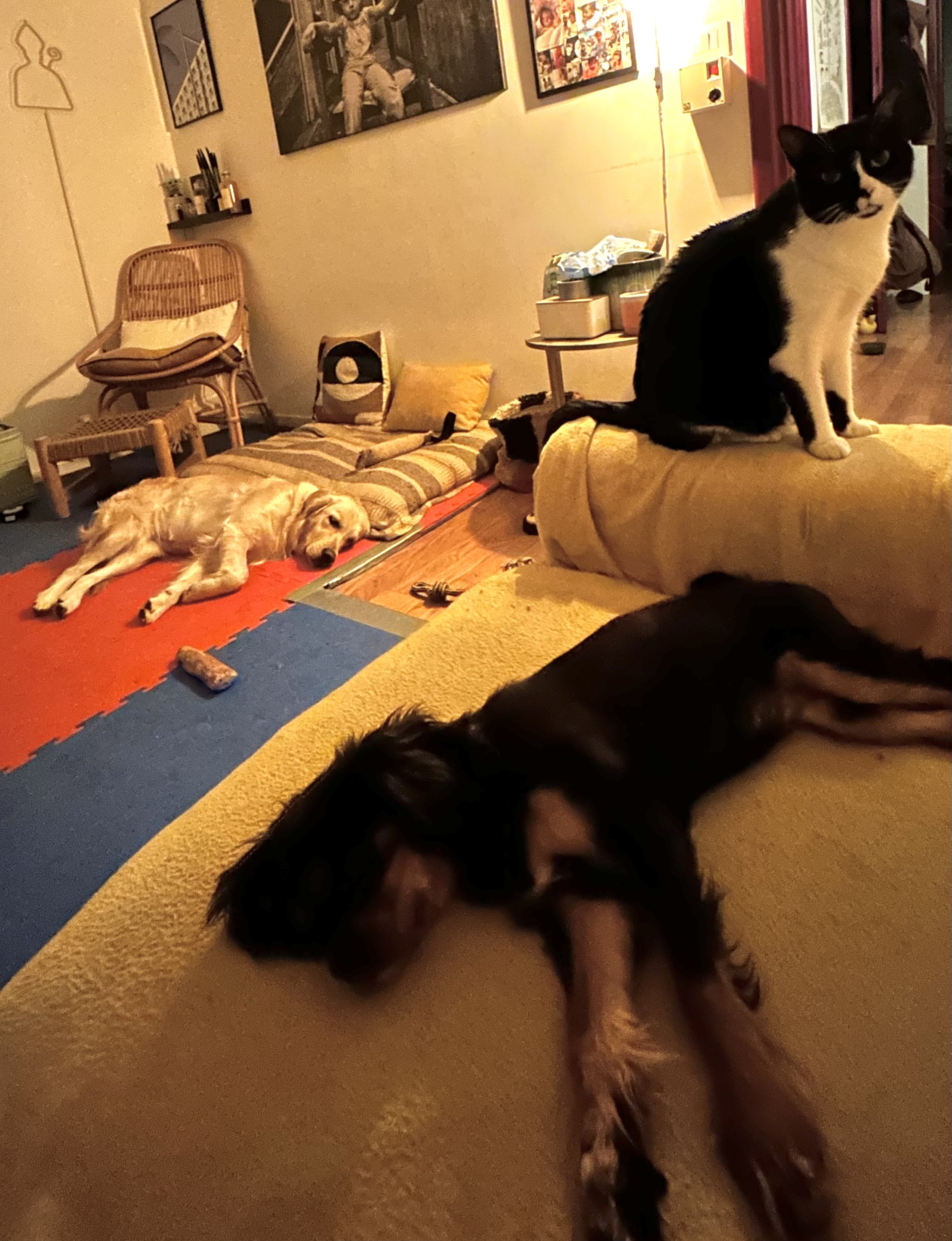 image-13
