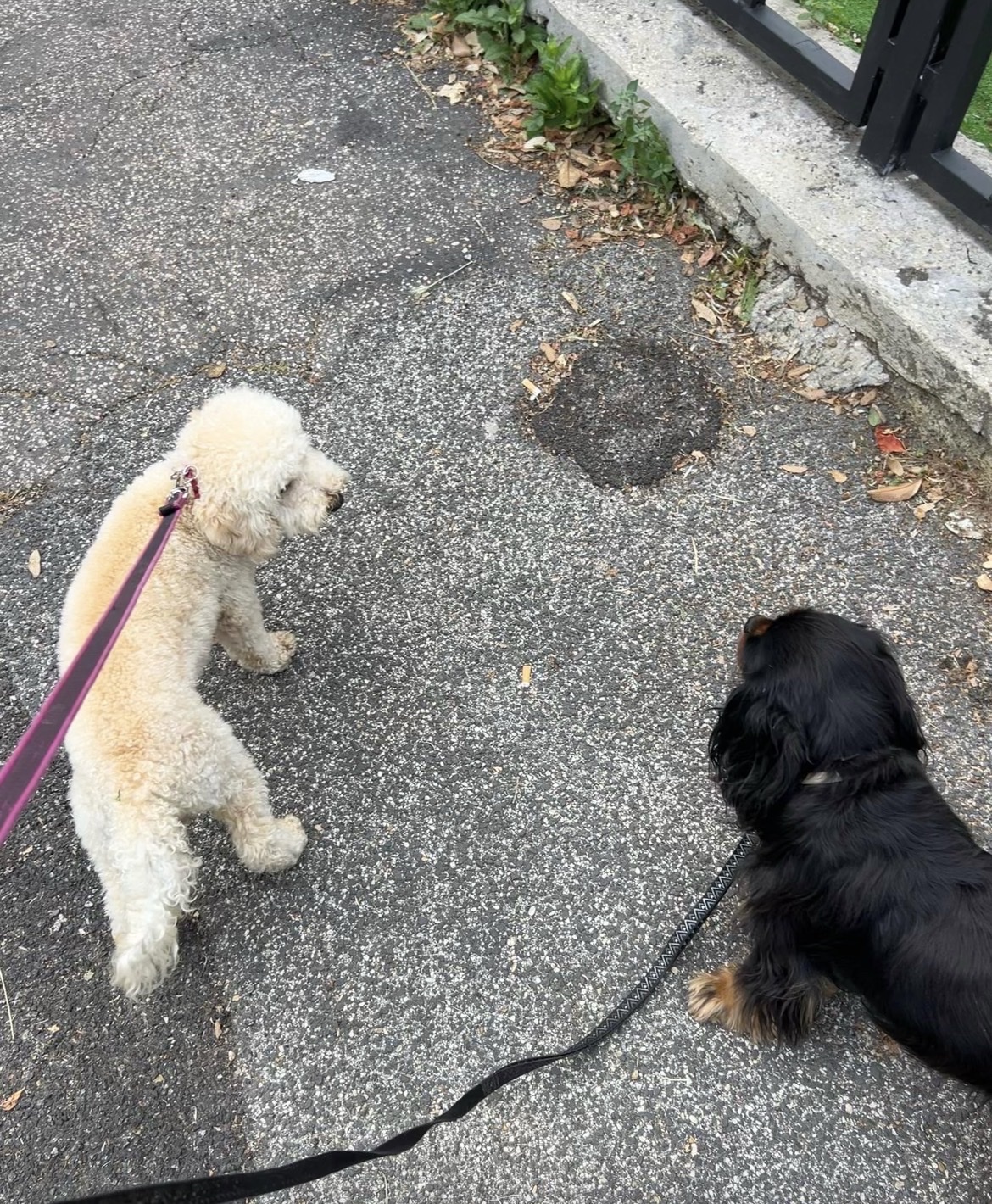 image-18