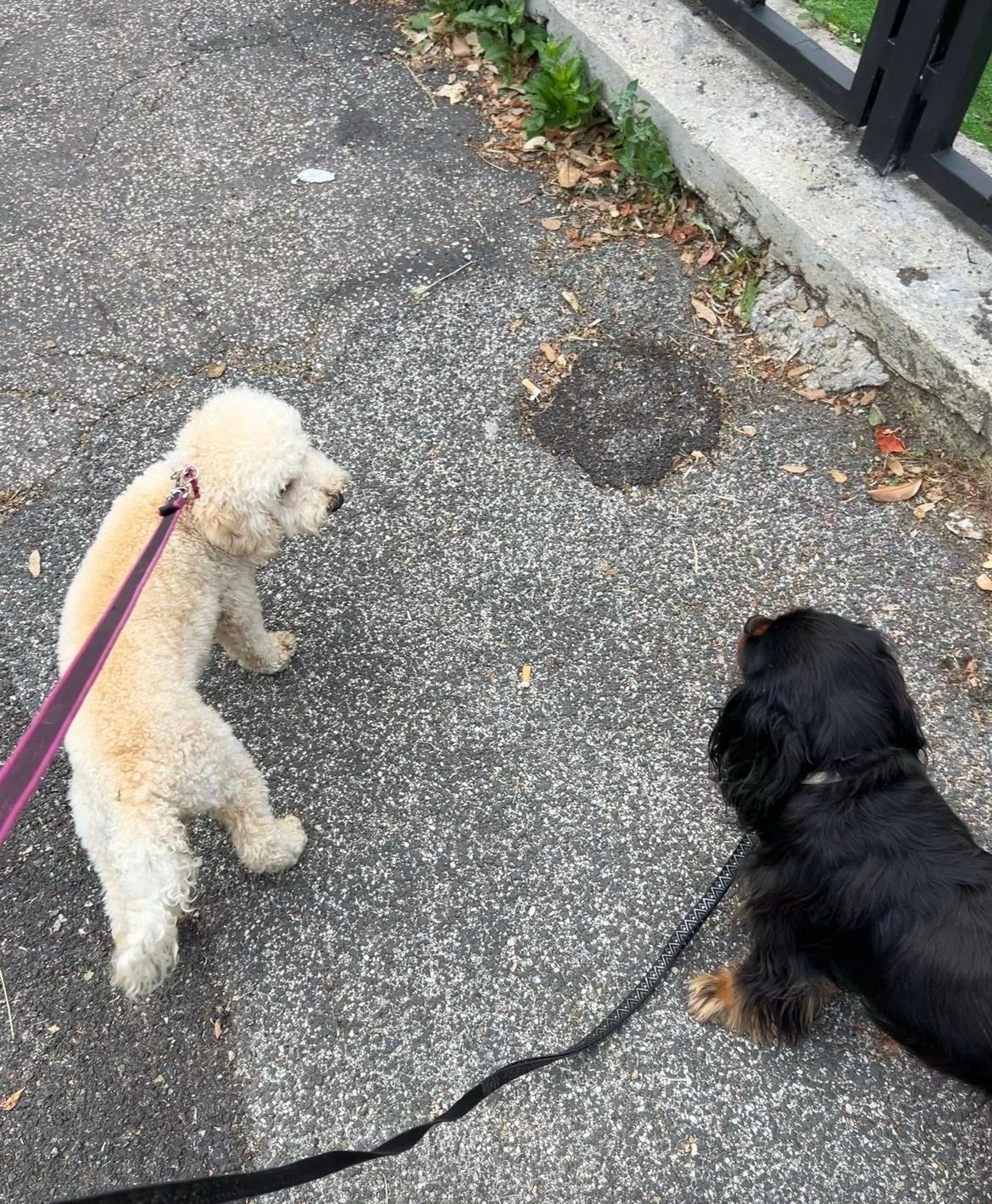image-18