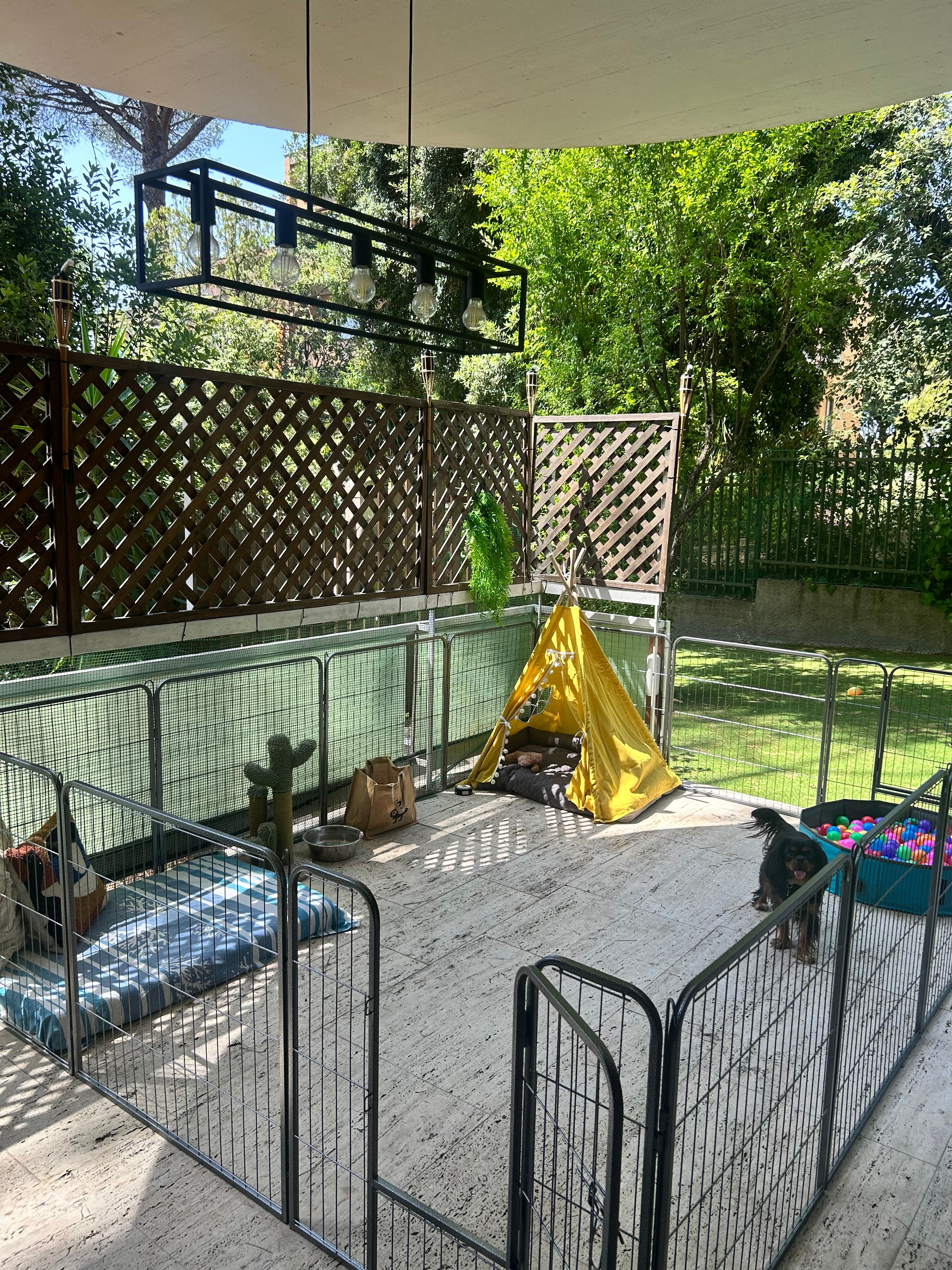 image-19