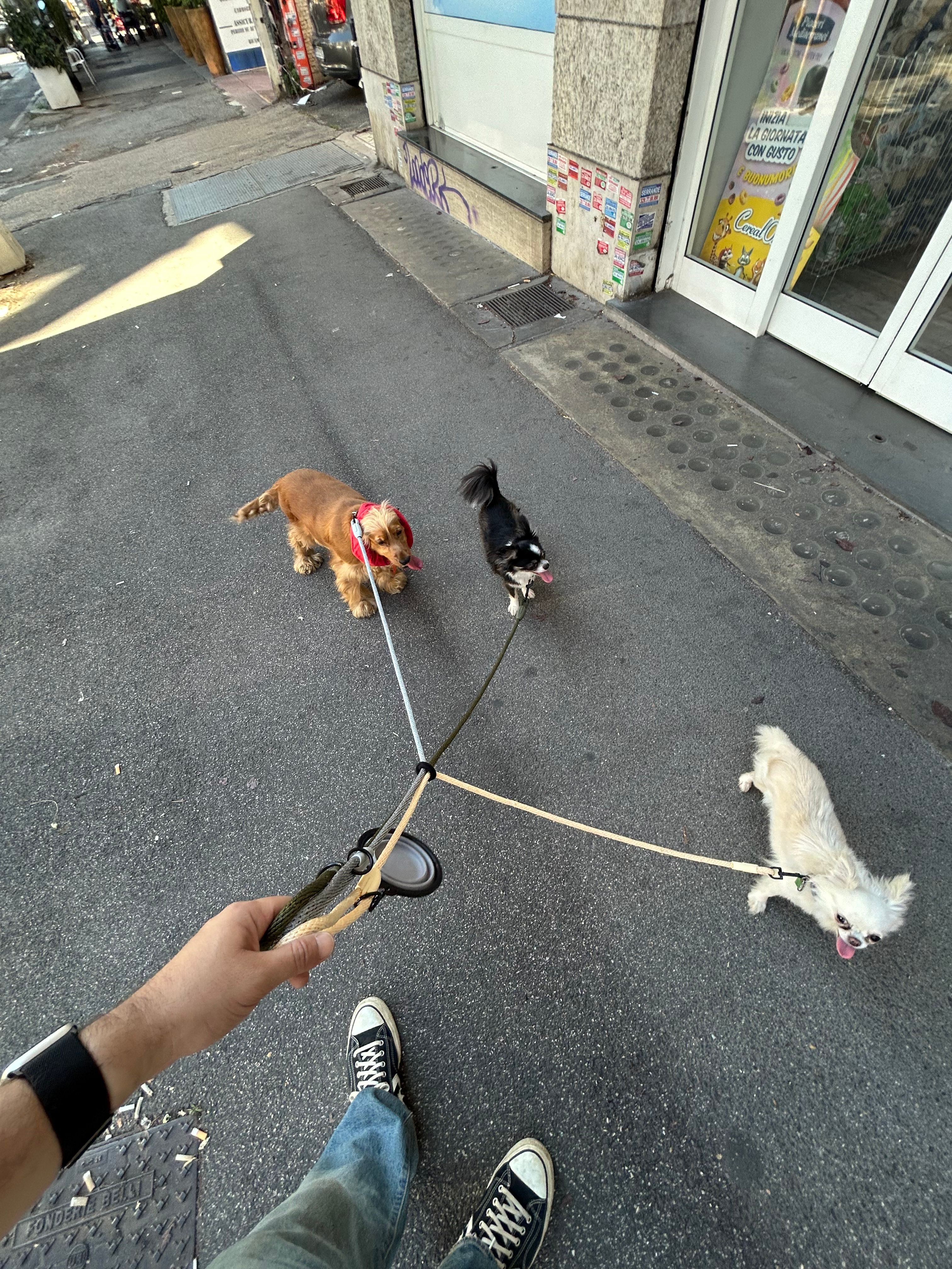image-17