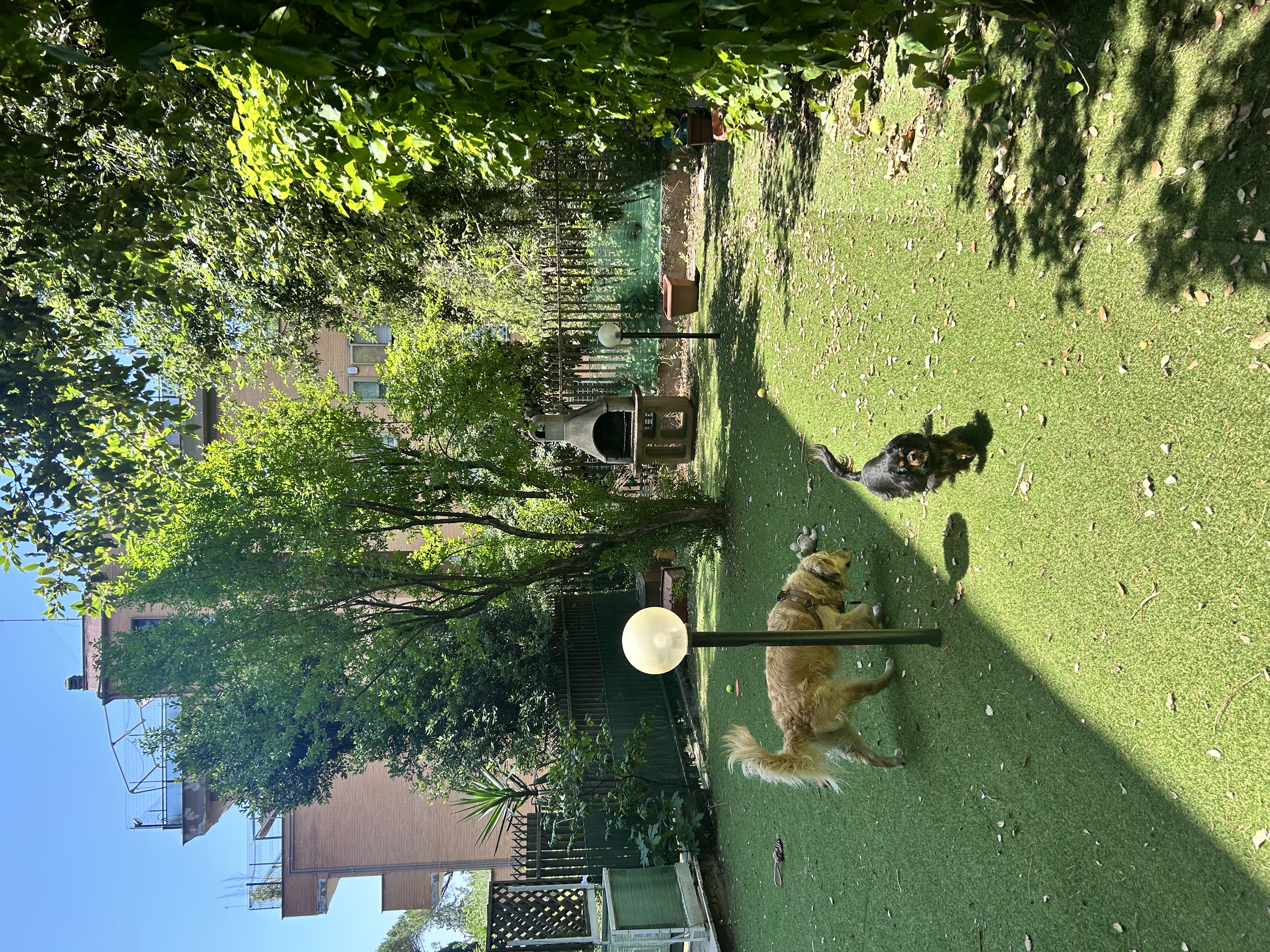 image-18