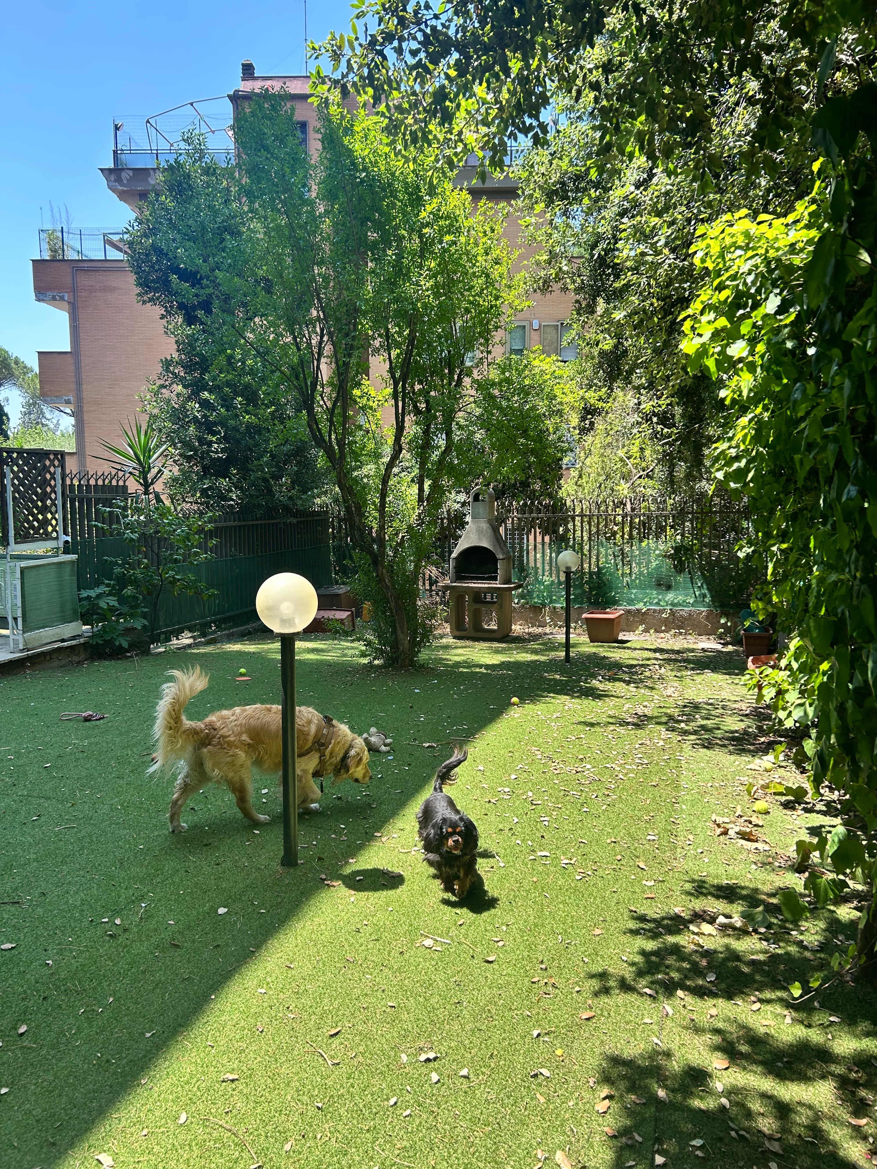 image-18