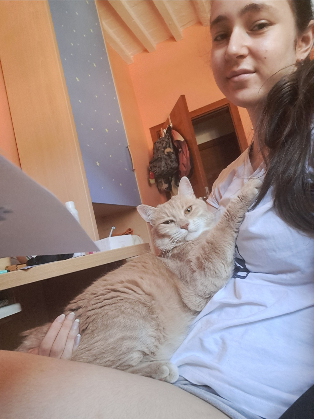 image-5