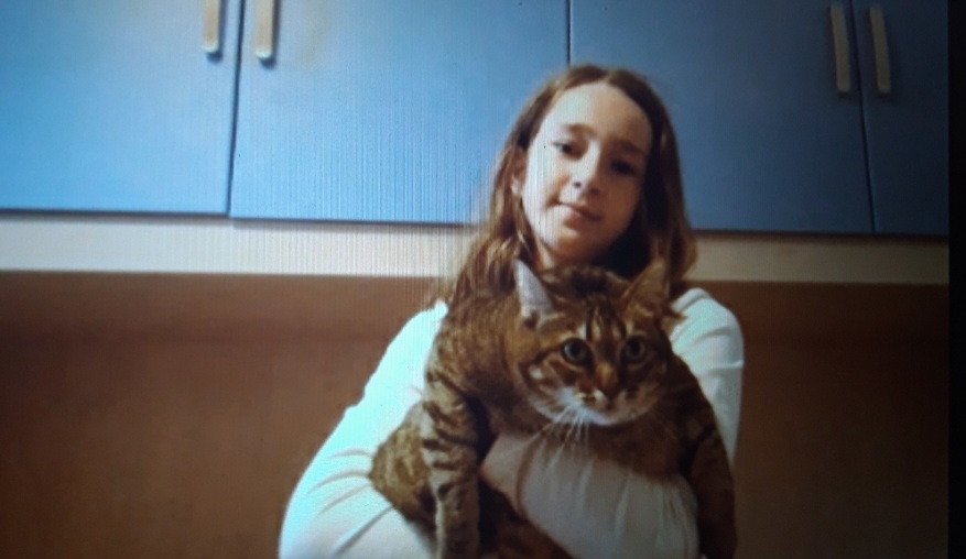 image-6