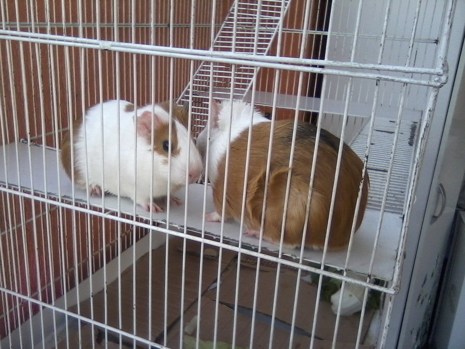 image-13
