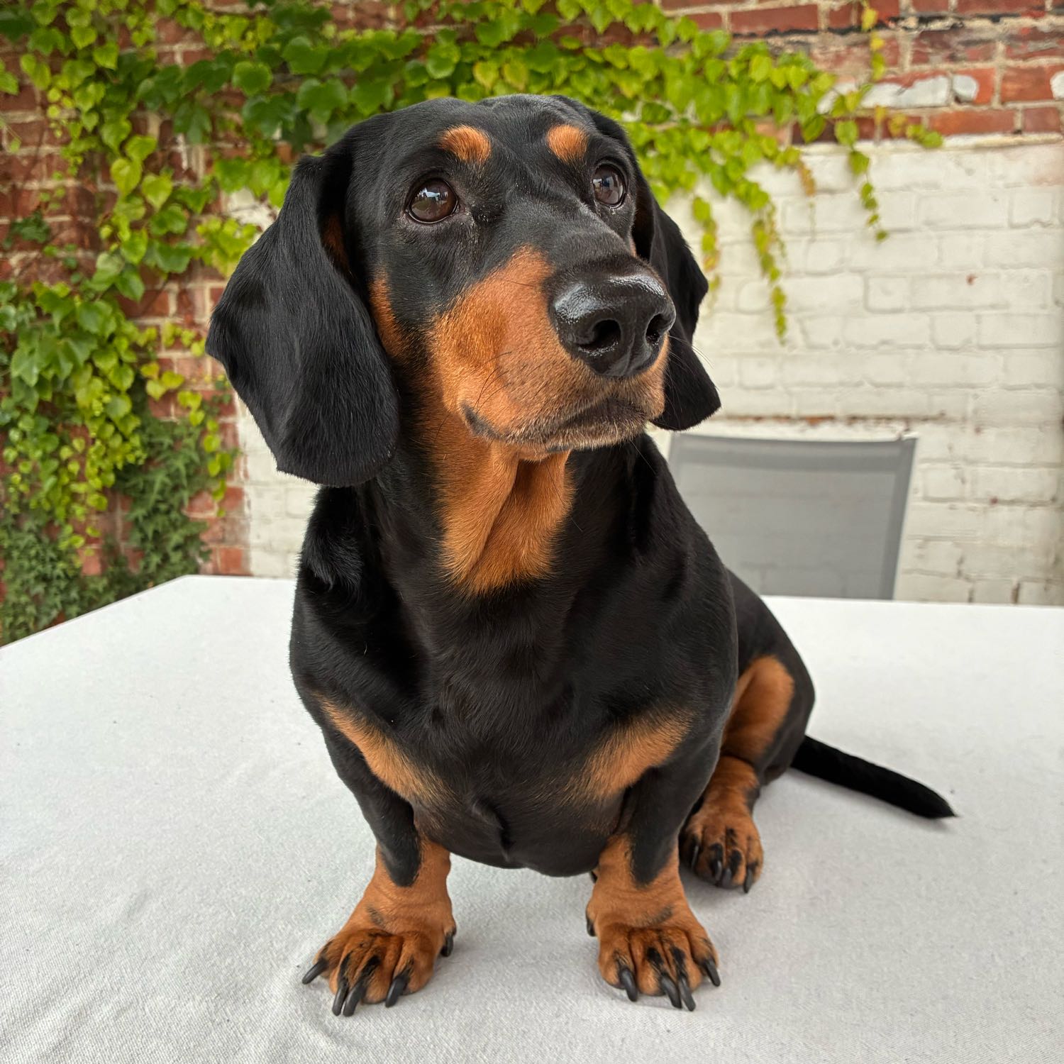 Jack