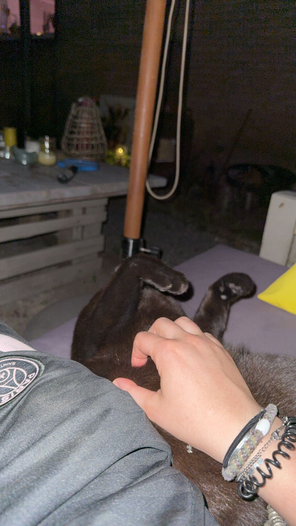 image-11