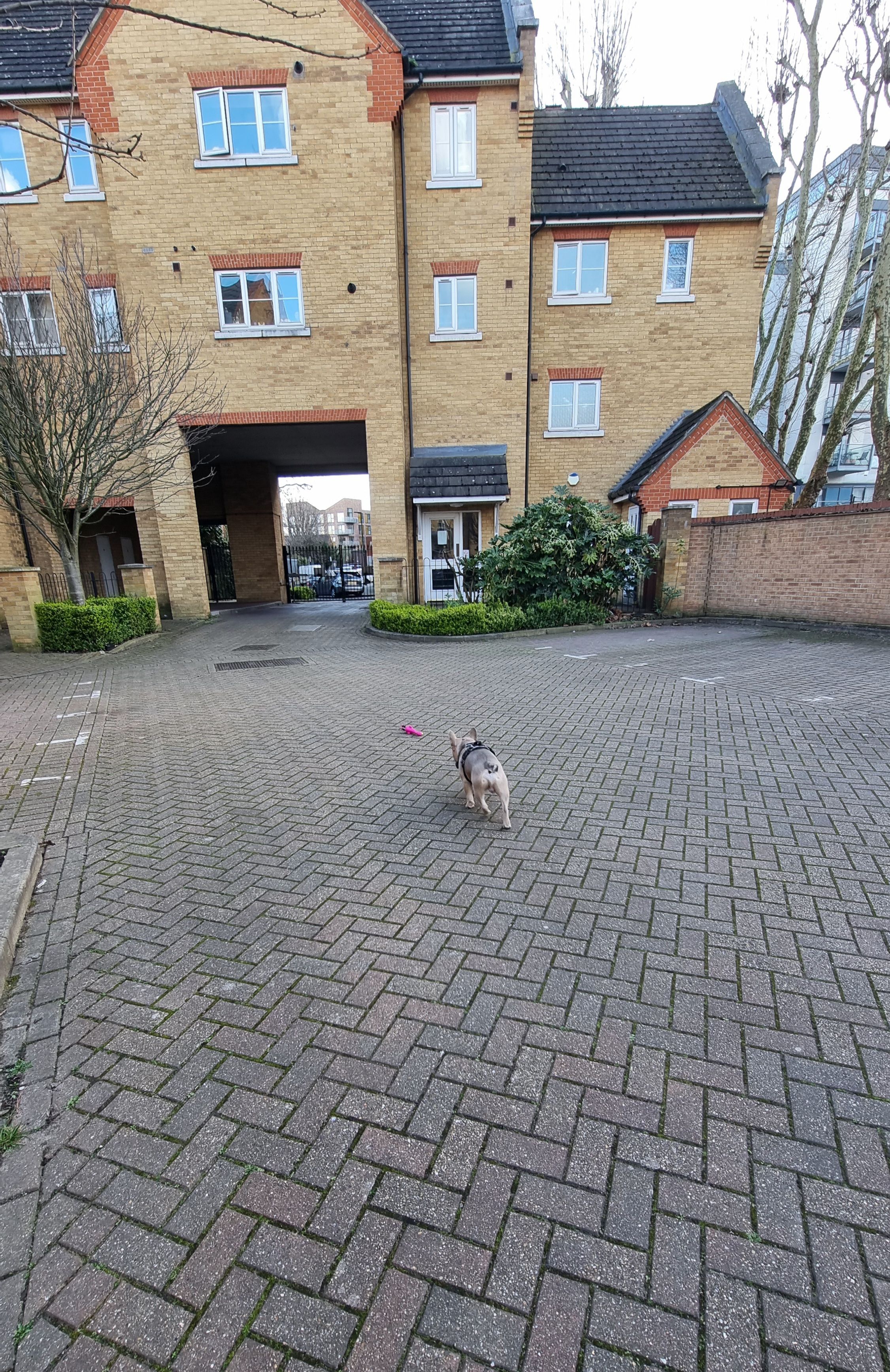 image-19