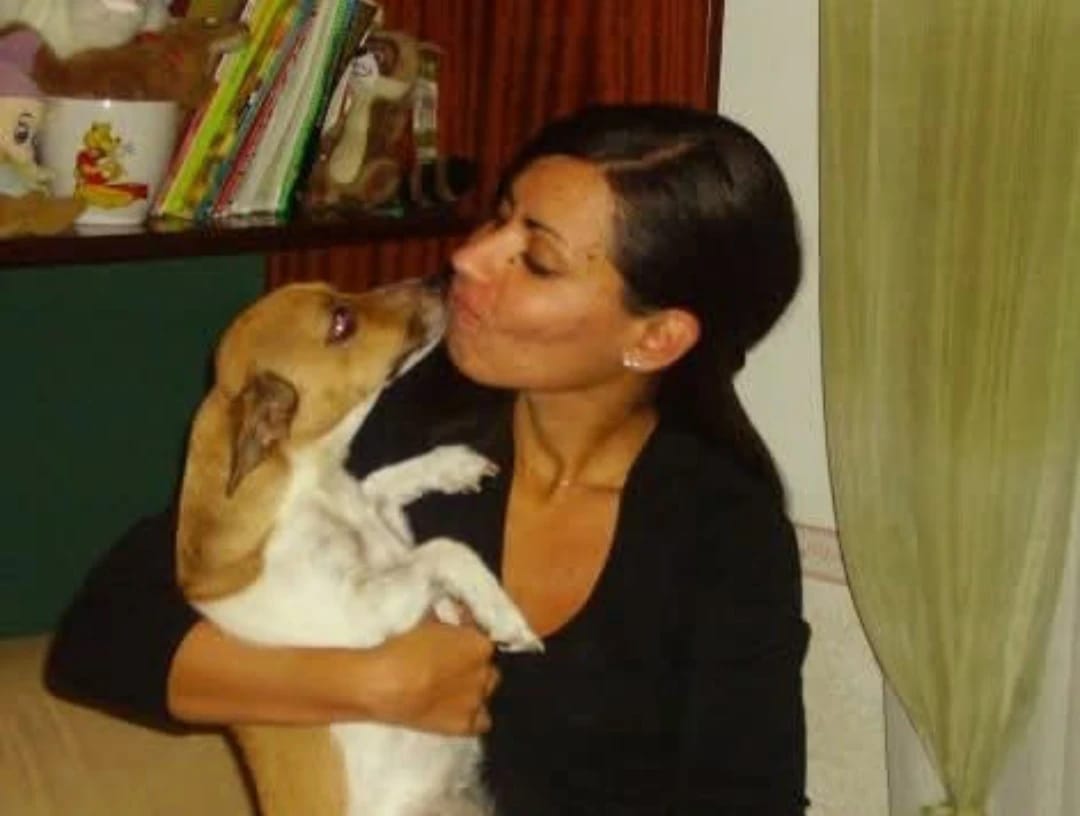 image-5