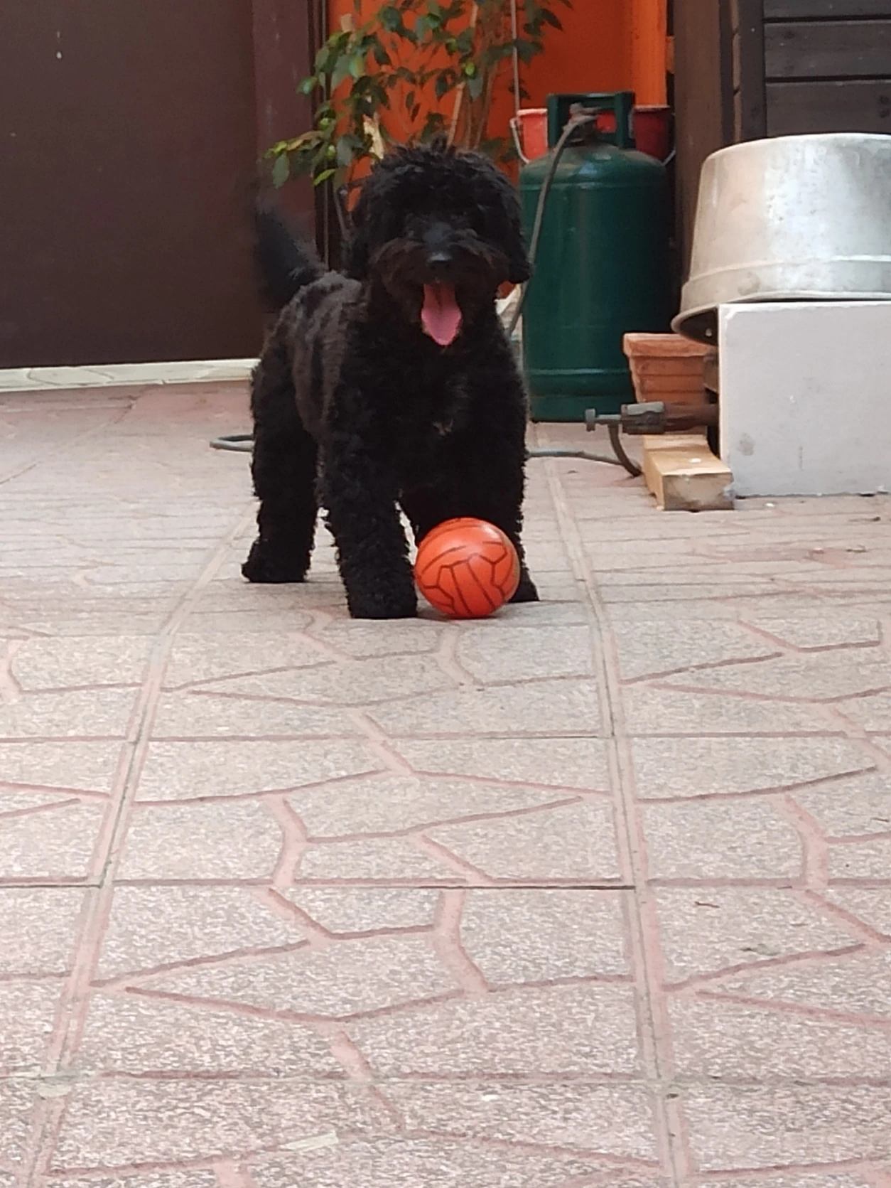 image-8